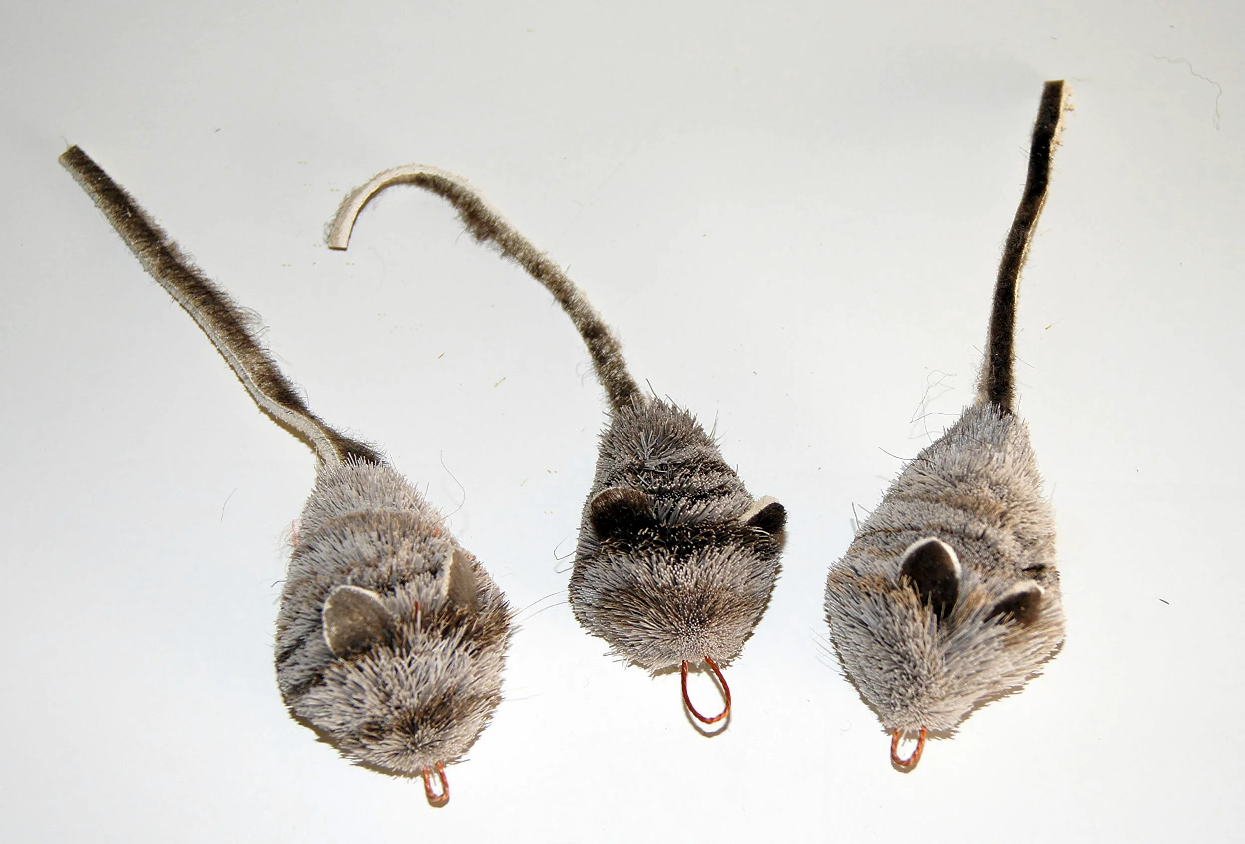 Fun Rat Pack de 3 recharges pour souris et souris – Compatible avec les baguettes Wildcat et les oiseaux populaires