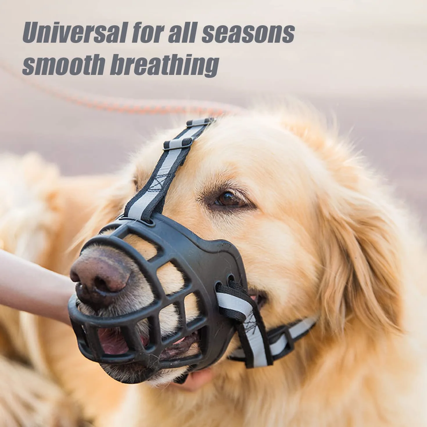 Muselière pour Chien, Museau en Silicone Souple pour Chiens, avec Bandeau Respirant en Maille et Nylon Résistant pour Petits,Moyens Et Grands Chiens ((Number 2)…)