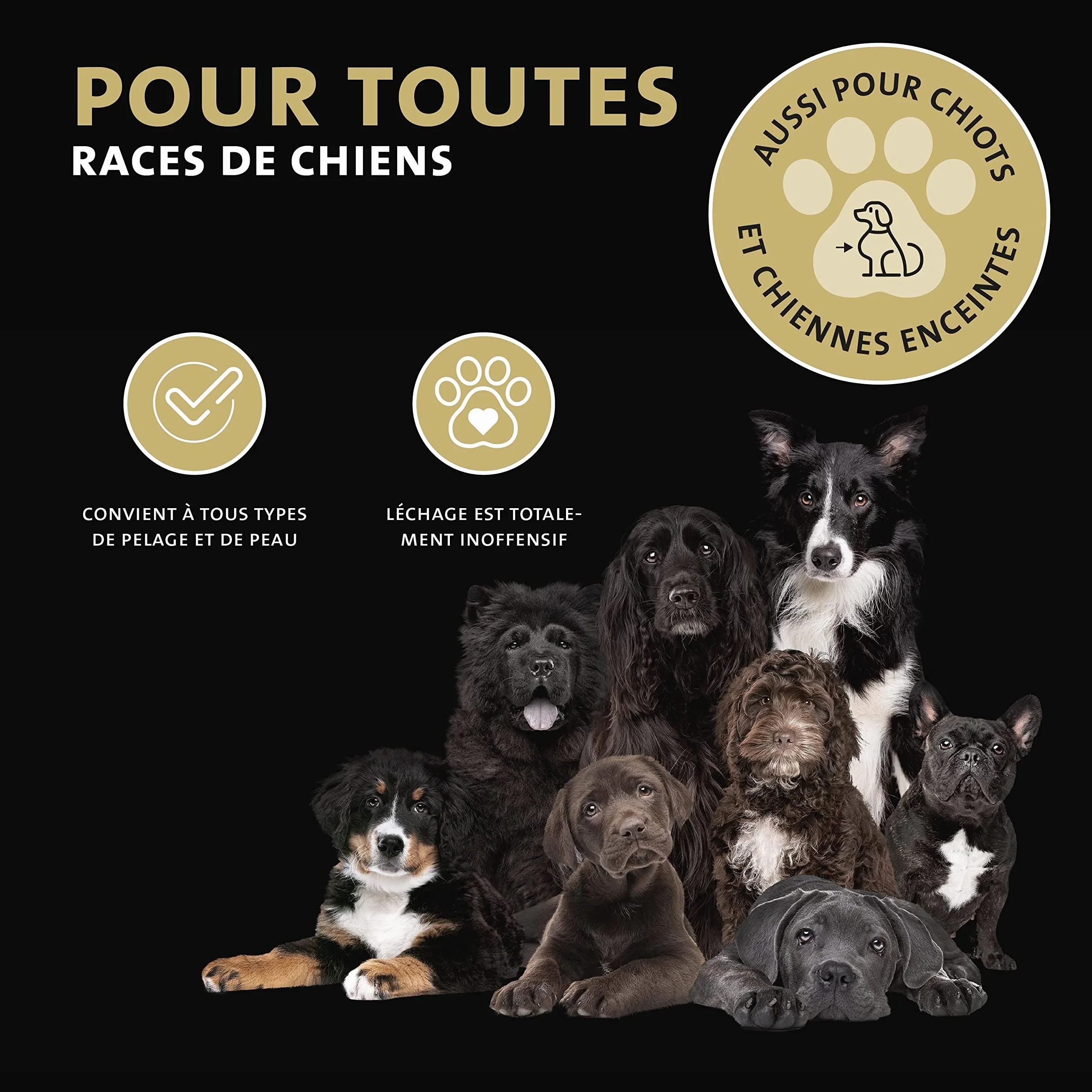 Peticare Poudre Spéciale Soin Plaies pour Chiens, Chevaux, Chats - 100% Zéolithe