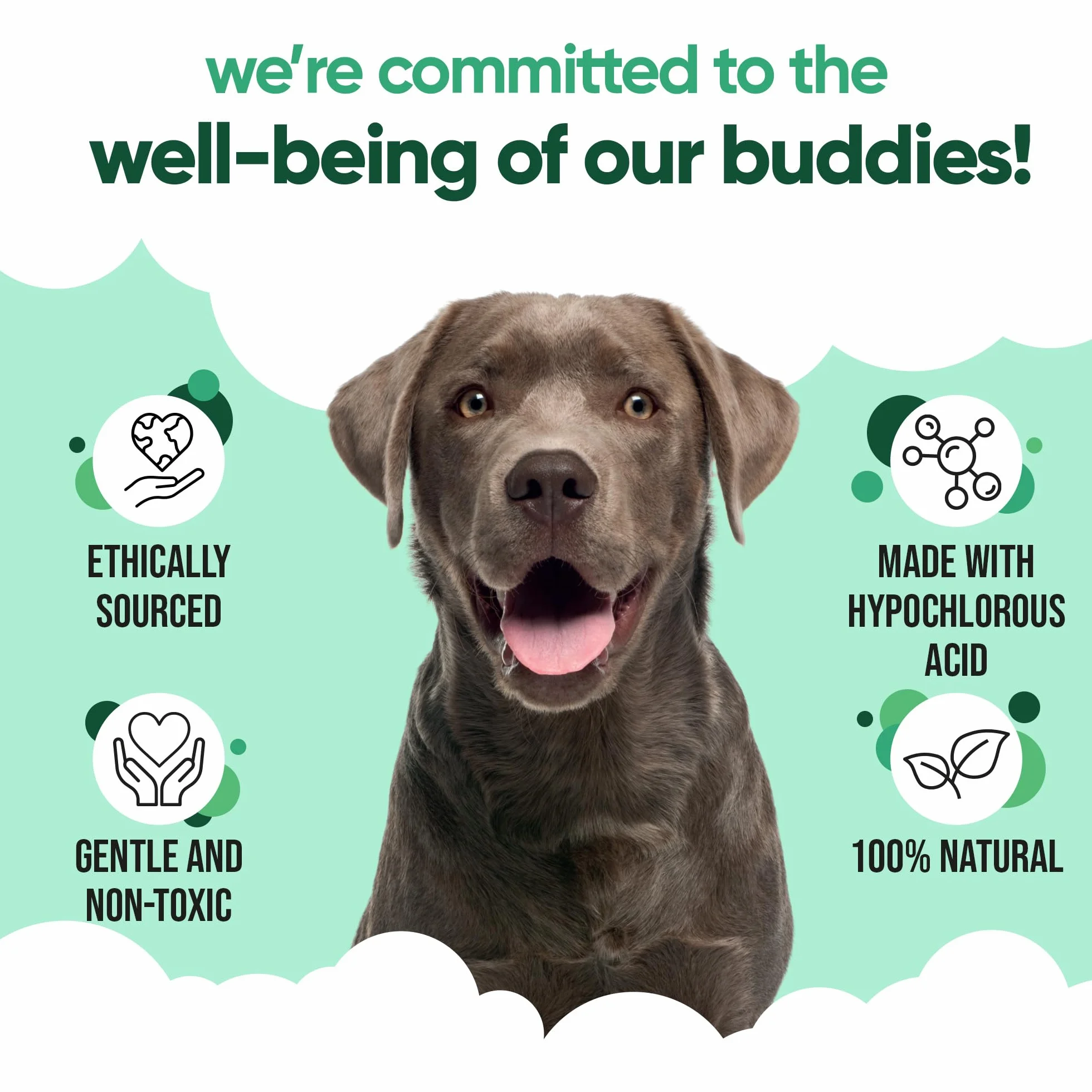 Buddycare Nettoyant pour oreilles de chien 200 ml Aloe Vera