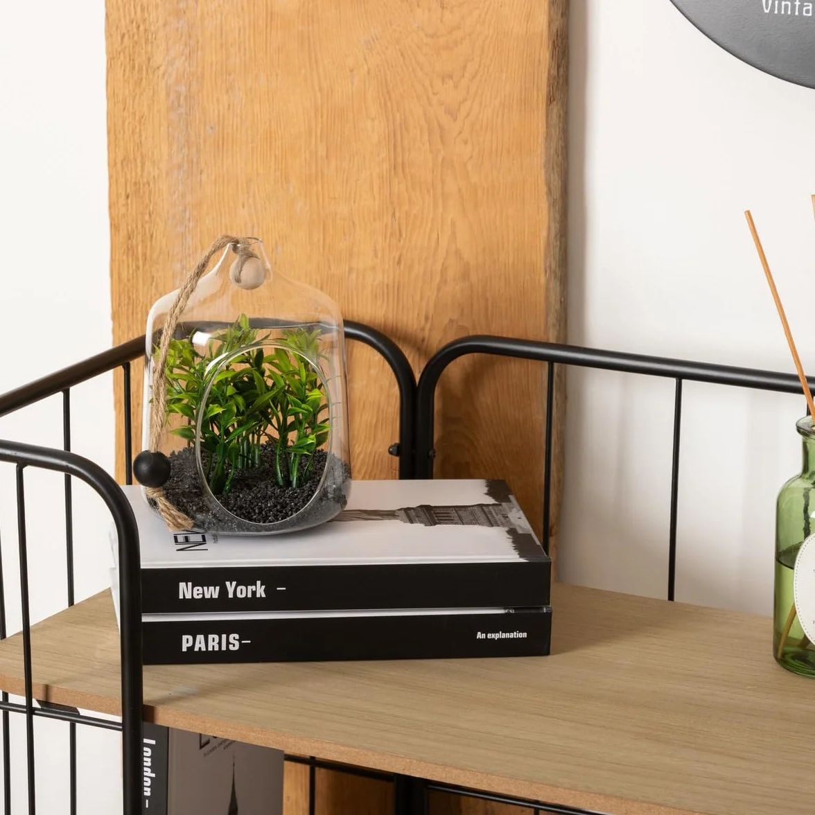 Atmosphera Terrarium Artificiel Suspendu Family Corner 15cm