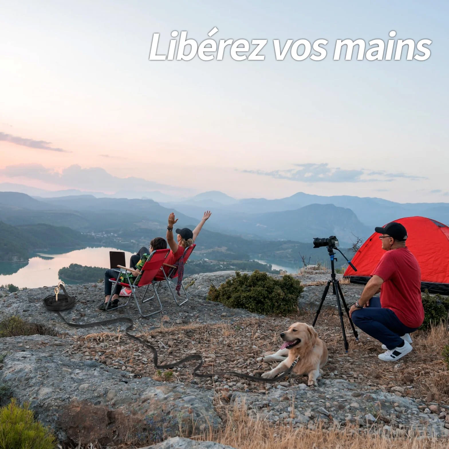 Longe pour Chien 10m Ajustable avec Poignée Rembourrée et Rac de Rangement