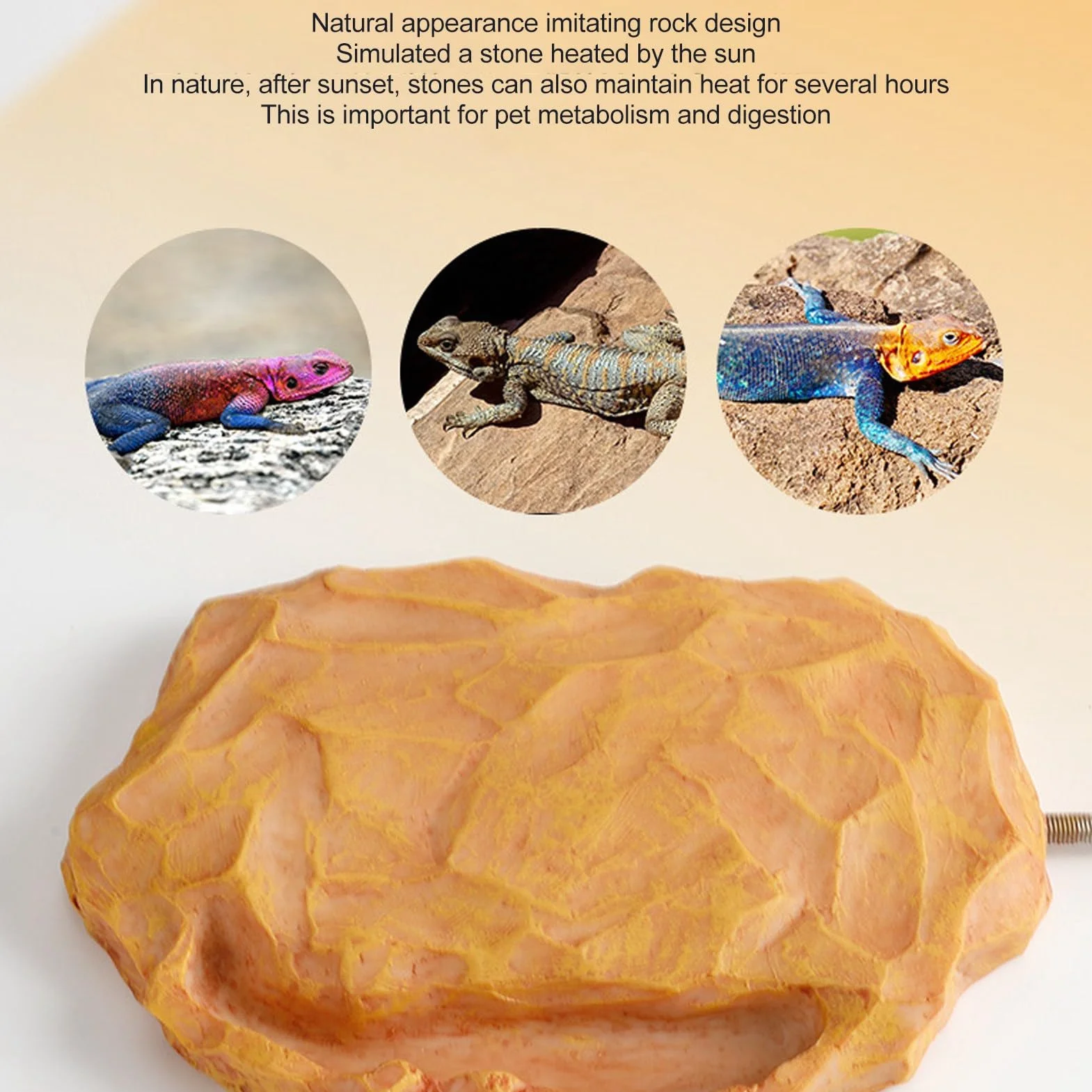 Roche Chauffante pour Reptiles 12V Température Contrôlée Lézard Tortue Serpent Dragon Barbu