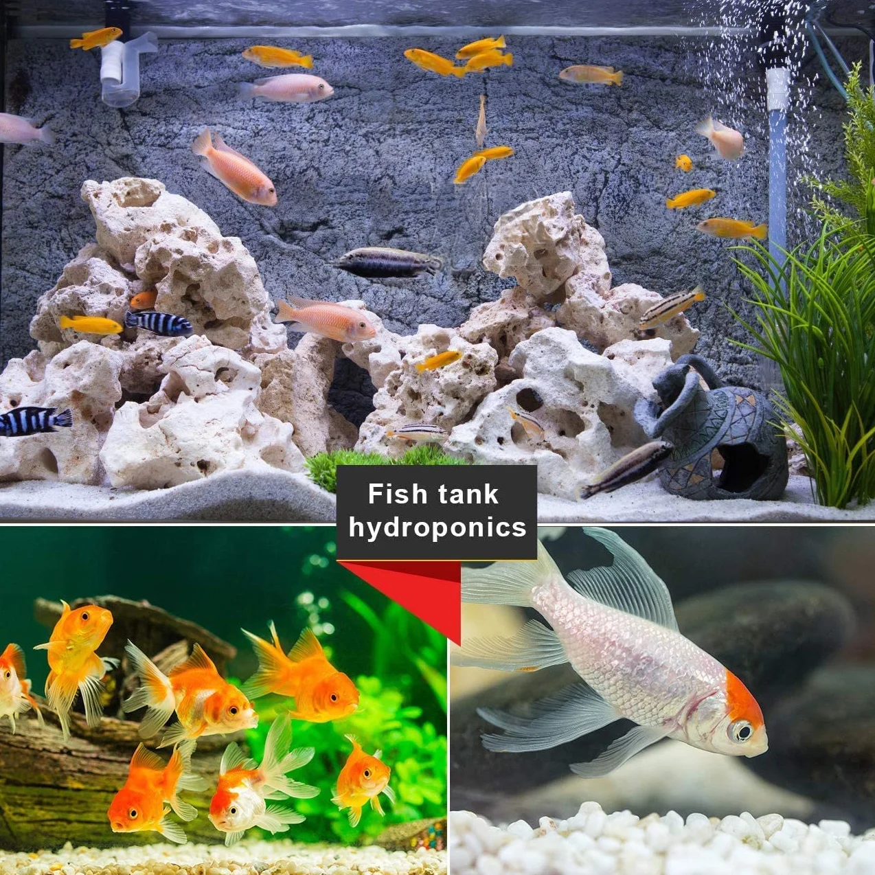 Pierres Décoratives Blanches 500g Petit Gravier Galets Poli pour Aquarium Jardin Pots de Fleurs