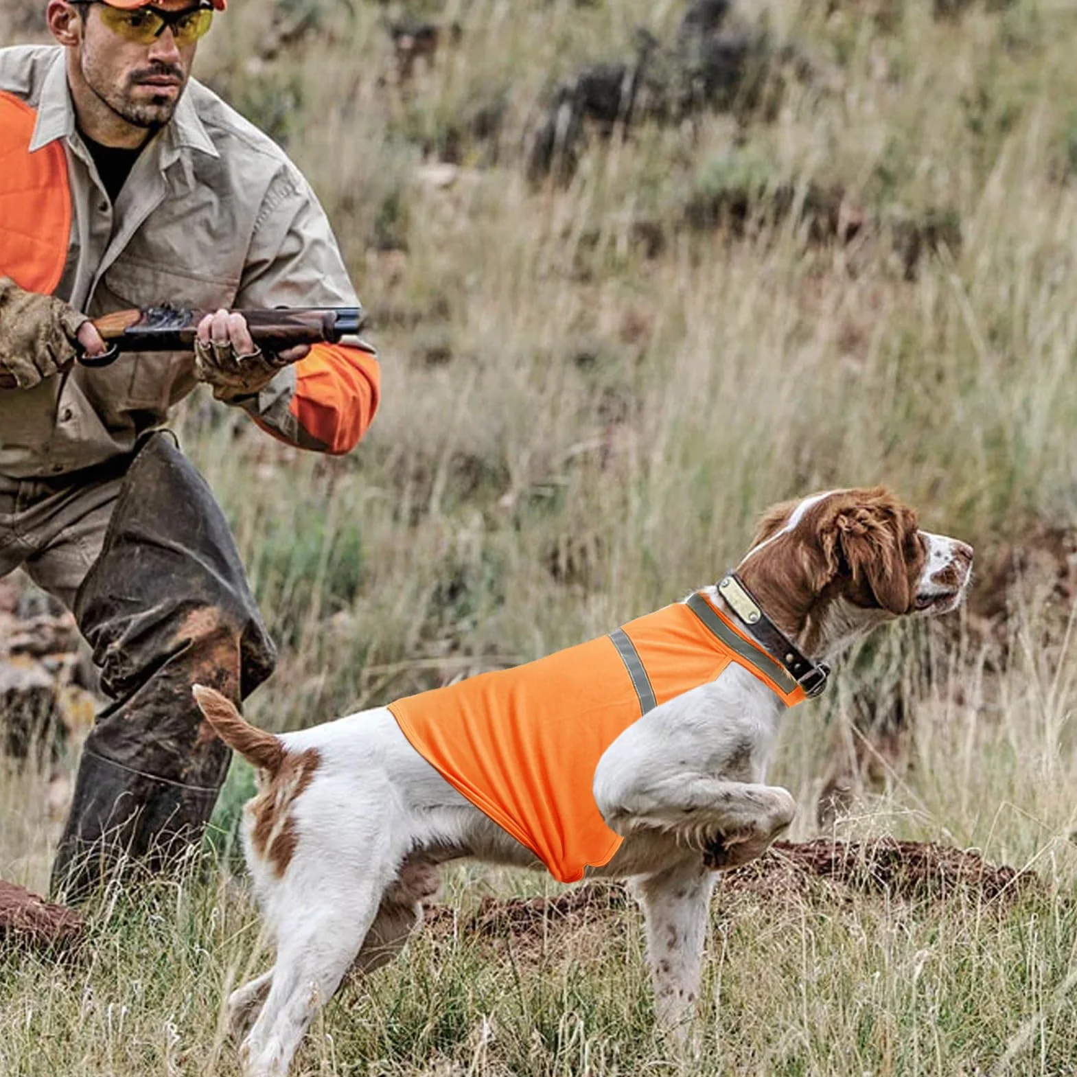 Gilet de sécurité pour Chien Orange Fluorescent Réfléchissant Respirant