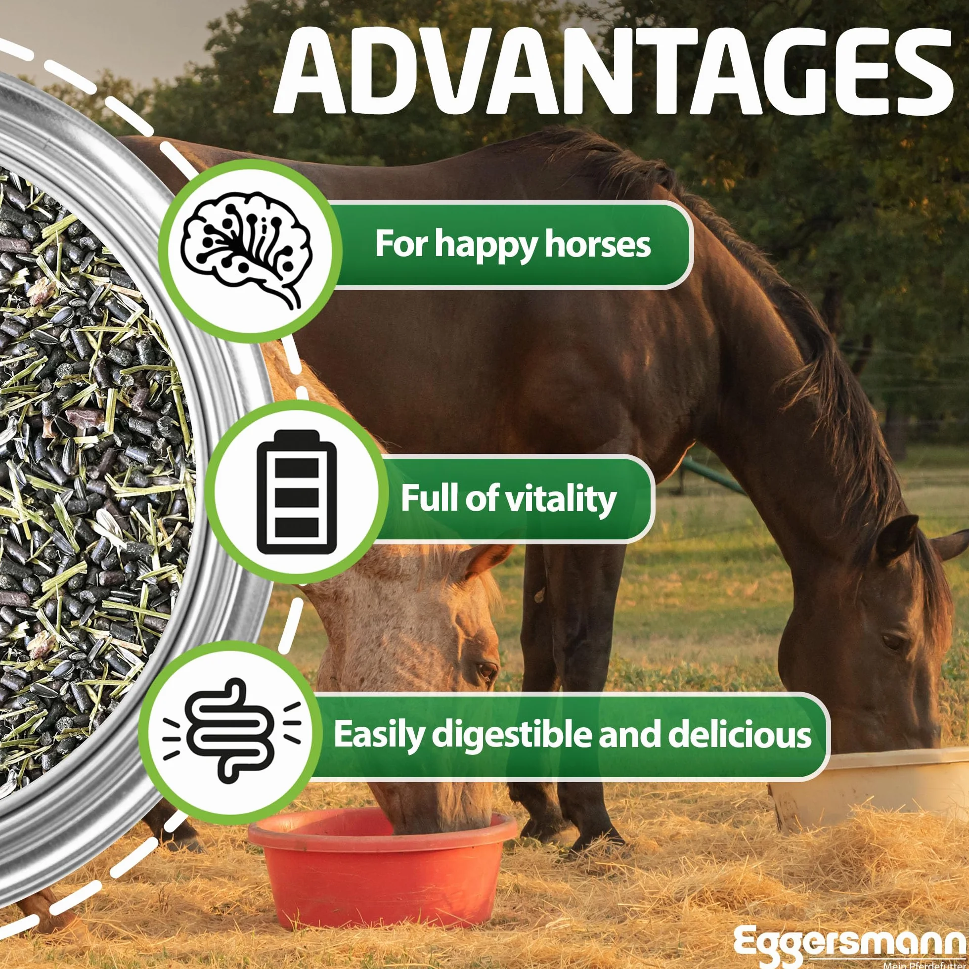 Eggersmann Green Power Nourriture naturelle pour chevaux sans céréales