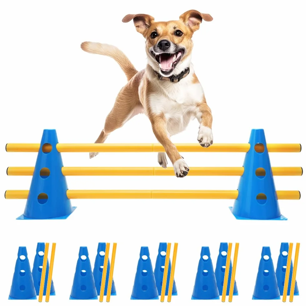 Kit de sport pour chien Cavaletti Agility - 10 cônes + 5 barres, résistant aux intempéries