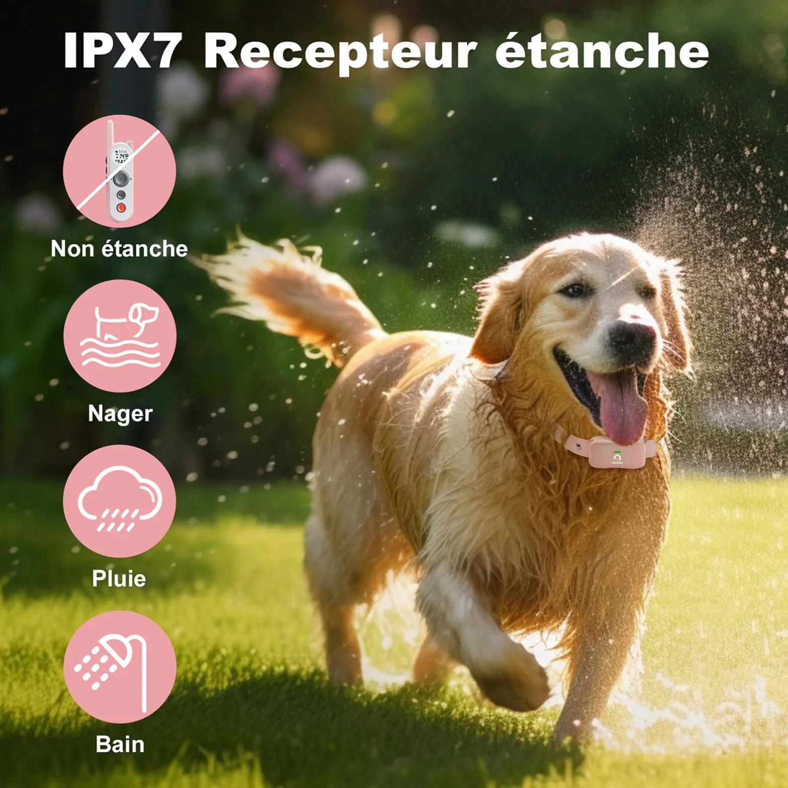 Clôture Électronique pour Chien 8M à 1050M Ajustable Étanche Collier Dressage Grandes Races
