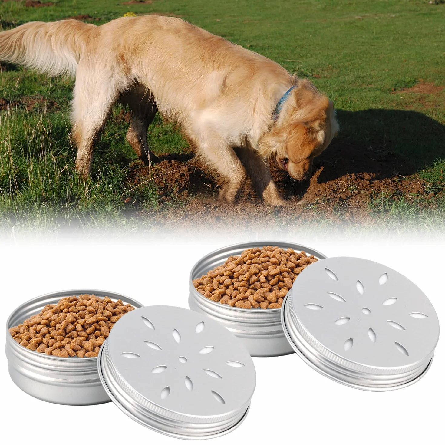 QWORK Lot de 10 canettes parfum chien en aluminium 60 ml avec ventilation - Accessoires de dressage chien