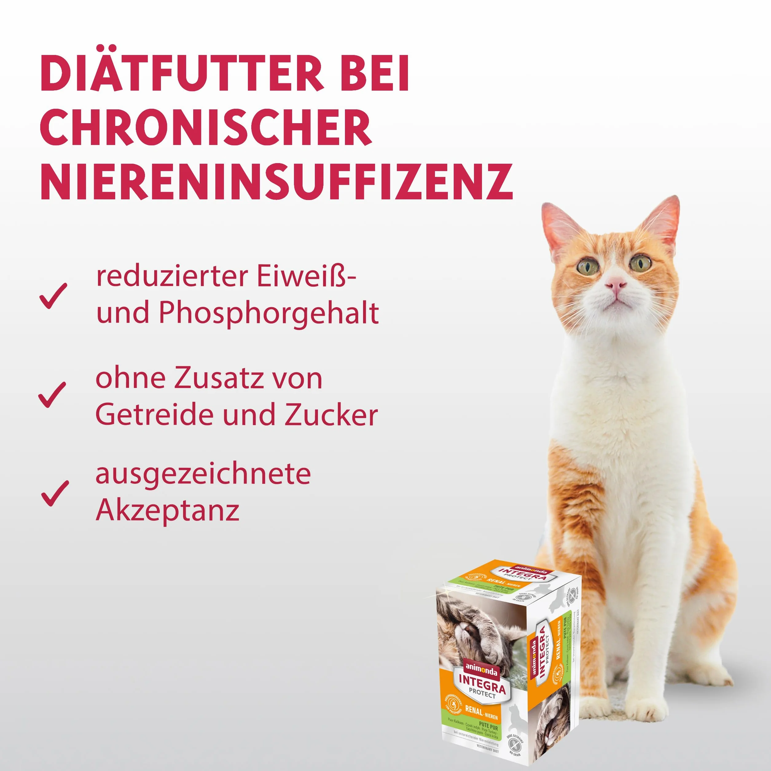 Animonda INTEGRA Protect Nourriture Humide pour Chat Renal Dinde Pur 6 x 100 g