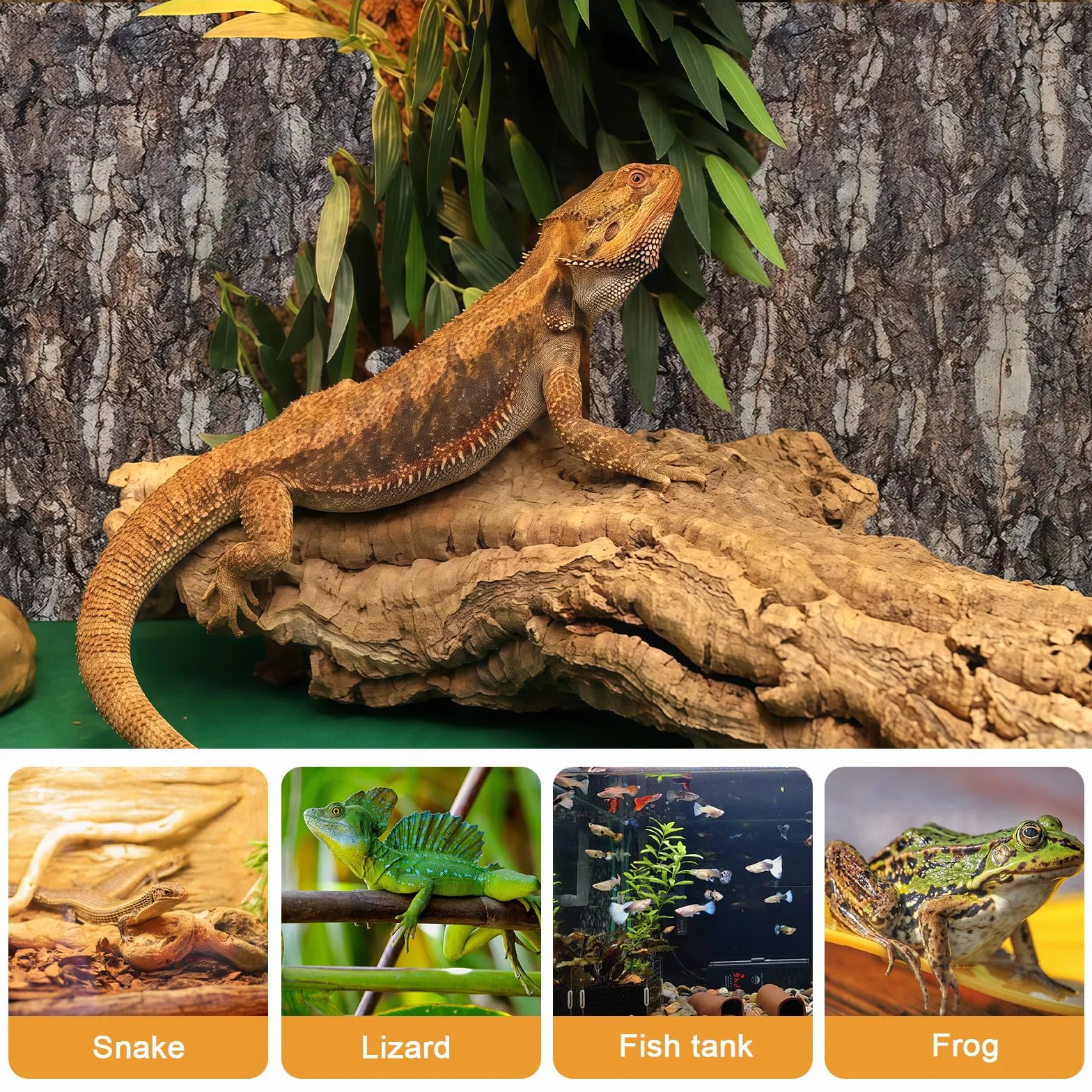 Panneaux Écorce de Liège pour Terrarium 5×5cm 20×30cm Lézard Tortue Gecko