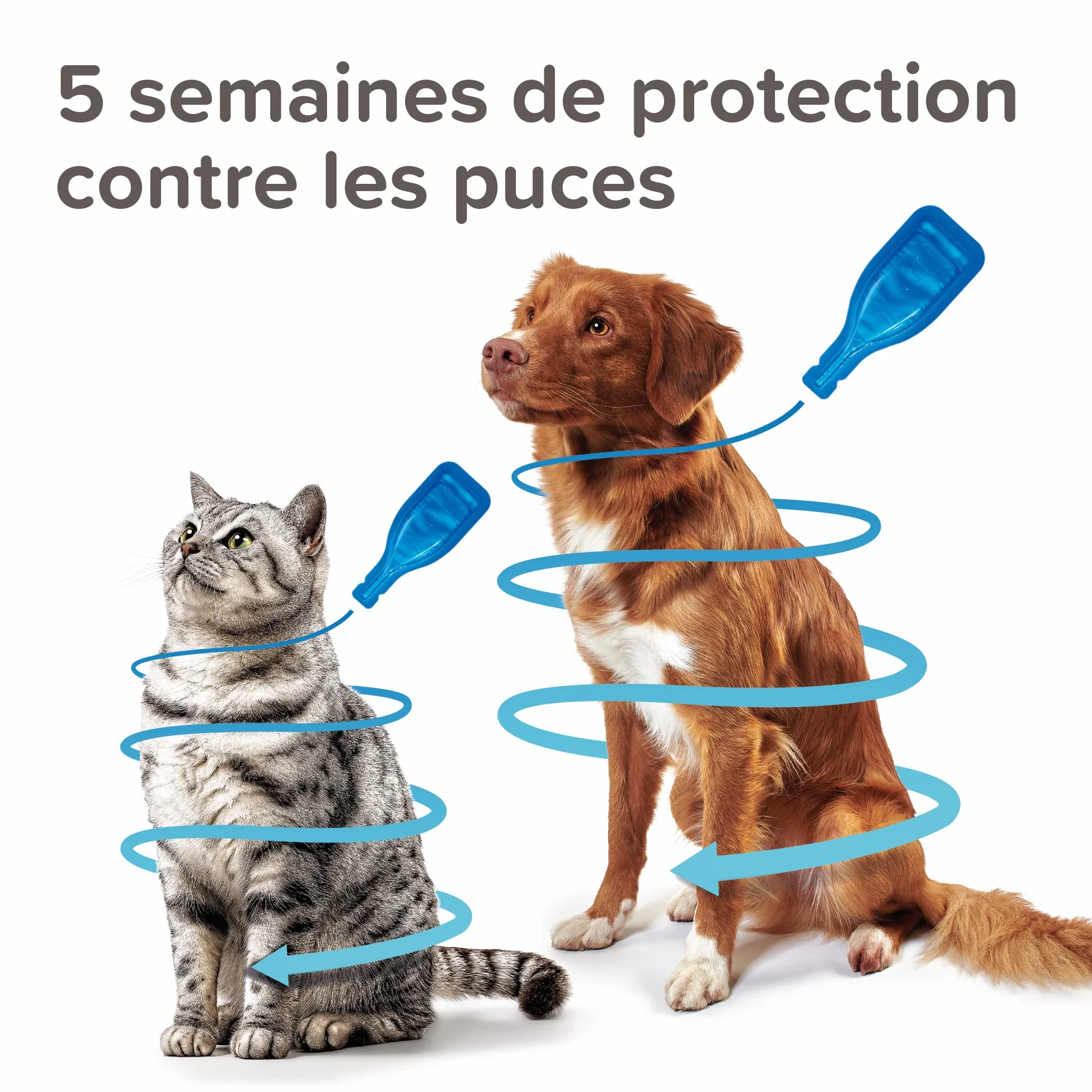 BEAPHAR FIPROTEC Solution Spot-on pour Chiens Moyens 10-20 kg 134 MG Fipronil Anti-Puces Anti-Tiques 4 Pipettes