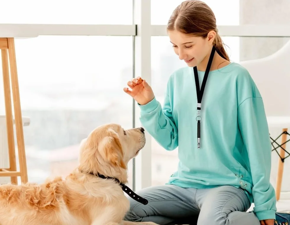 Sifflet Ultrason Chien Anti Aboiement 2 Pièces avec Lanière Dressage Canin