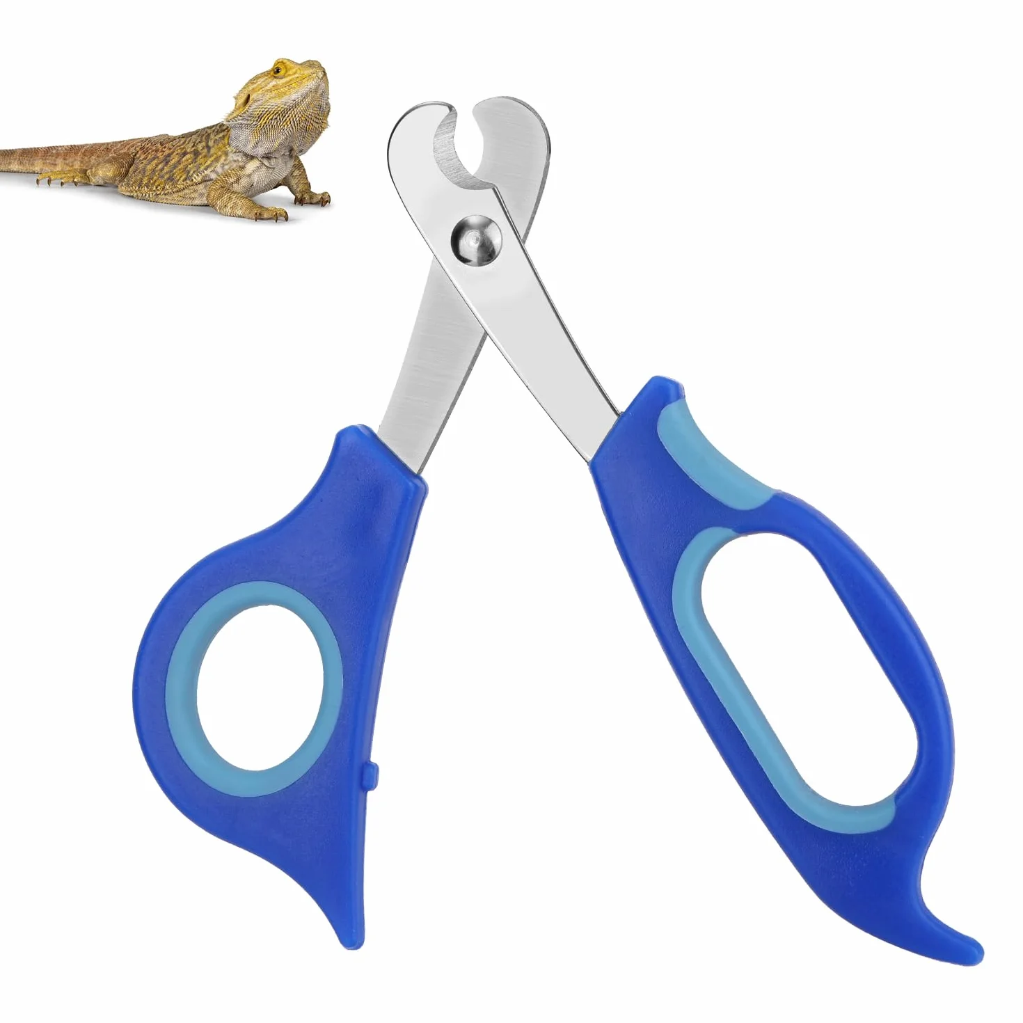 Coupe-Ongles pour Dragon Barbu en Acier Inoxydable Professionnel Reptiles