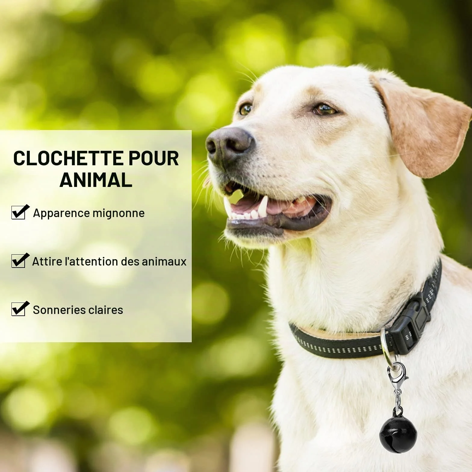Molain Lot de 10 clochettes colorées pour collier chat chien, avec fermoirs, accessoires animaux