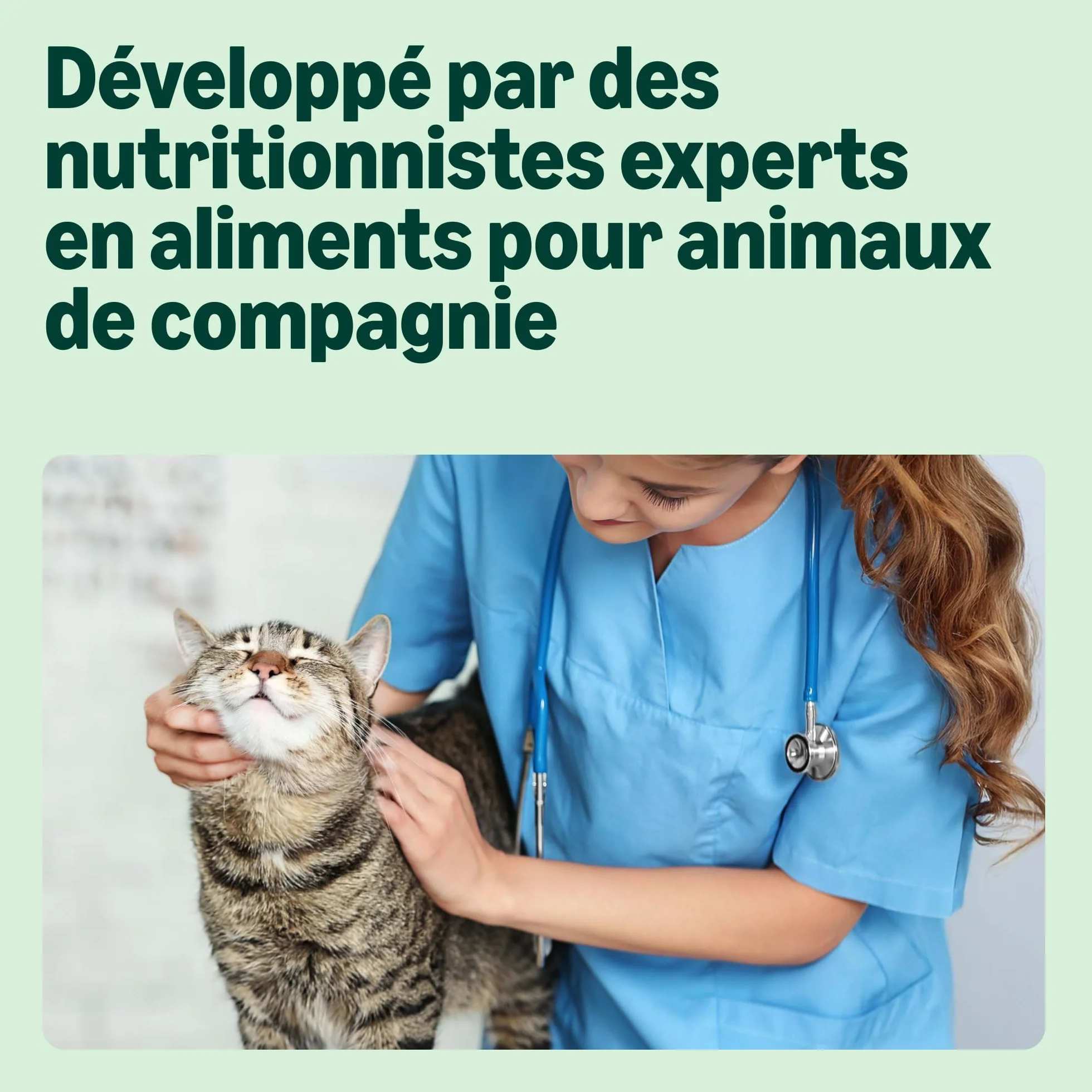 Amazon Aliments Humides sans Céréales pour Chats, Selection de Viande en Gelée 4.76kg, 56 x 85g