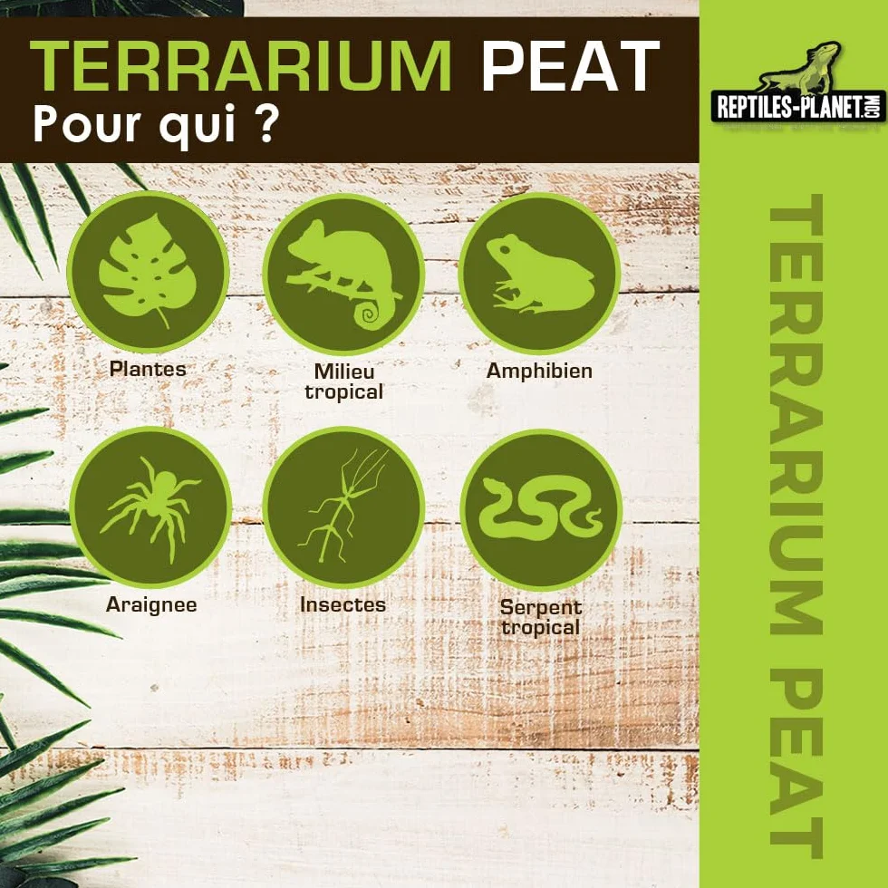 Terrarium Peat Substrat Naturel Tourbe 6 Litres