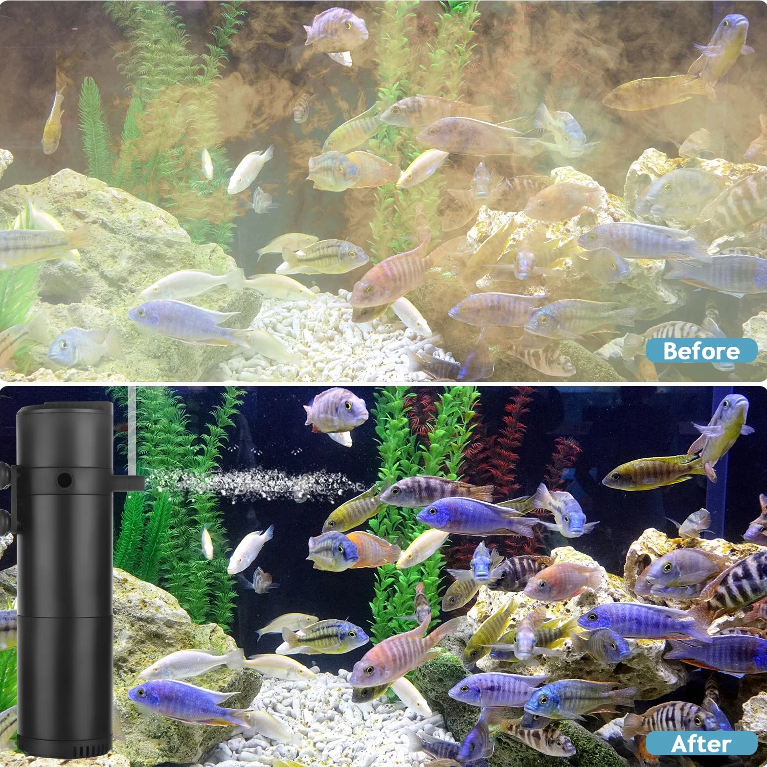 Filtre intérieur d'aquarium 12W 800L/H pour 50-200L avec Double Sortie d'eau et aération
