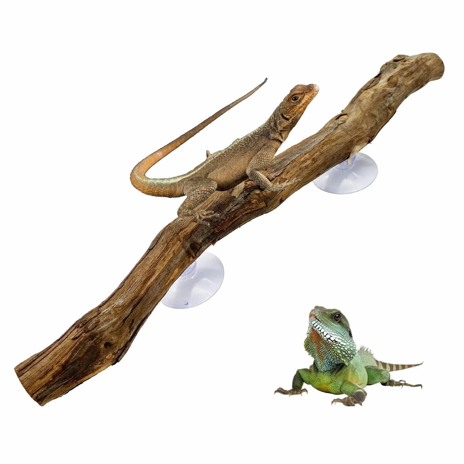Branches en bois naturel pour reptile, ornement de tronc d'arbre antidérapant pour serpent lézard gecko