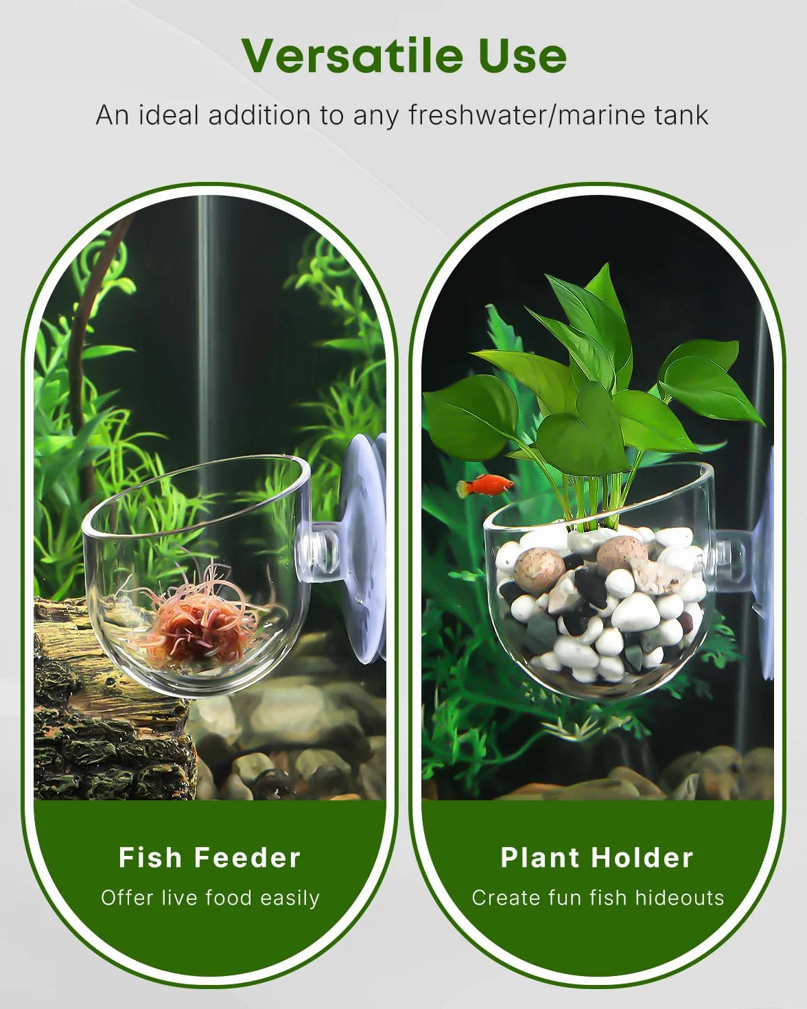 Pawfly Lot de 2 supports de plantes d'aquarium transparents en plastique avec ventouse
