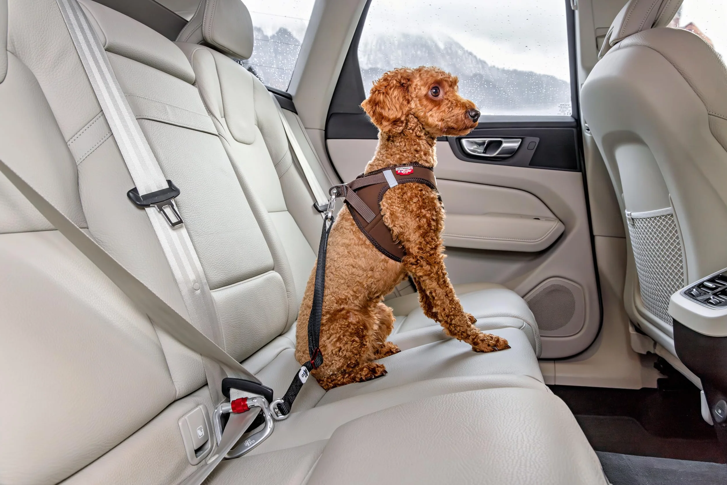 Car Safety Belt V2 L