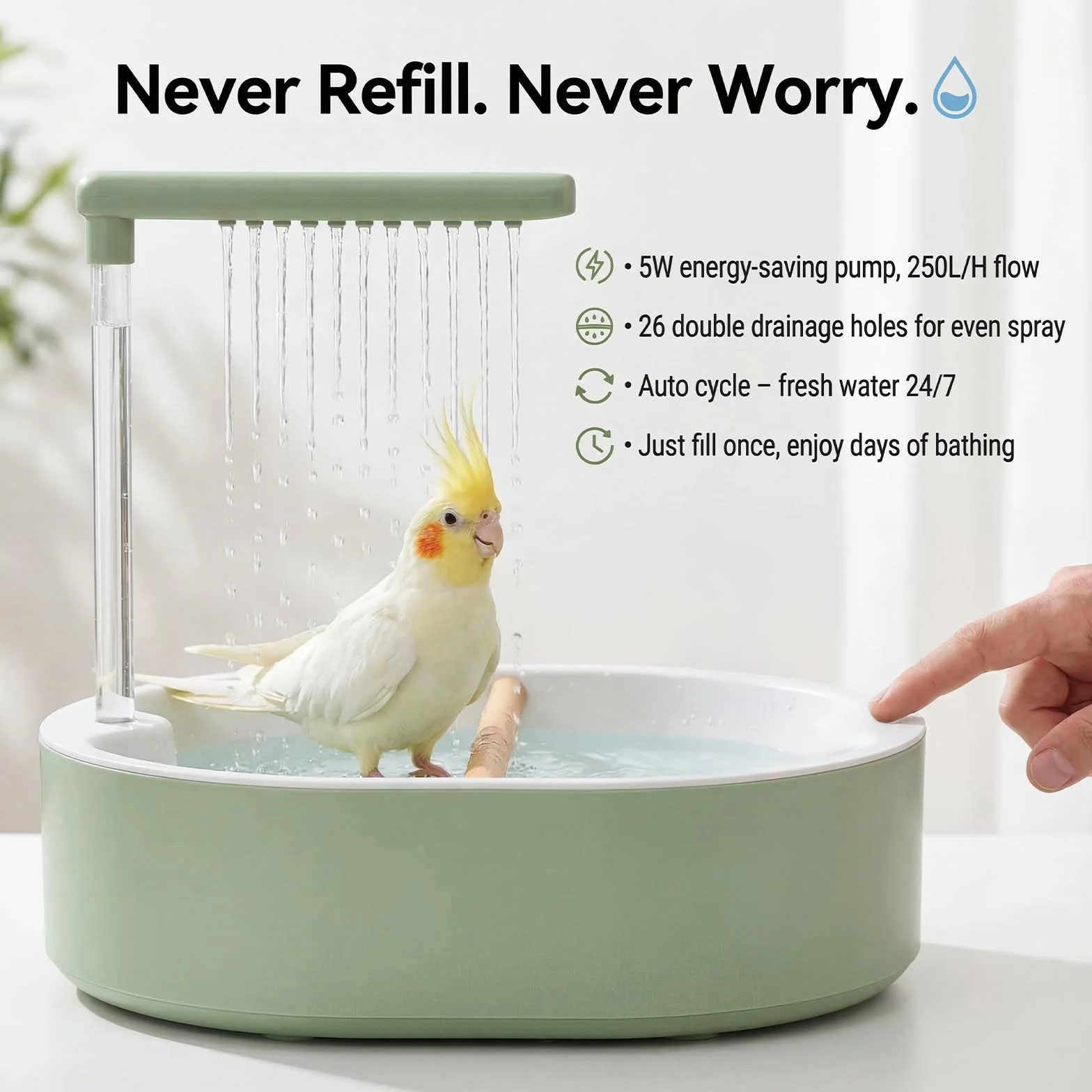 Bain d'oiseaux Automatique avec Eau en Circulation pour Perroquets Perruches Aras