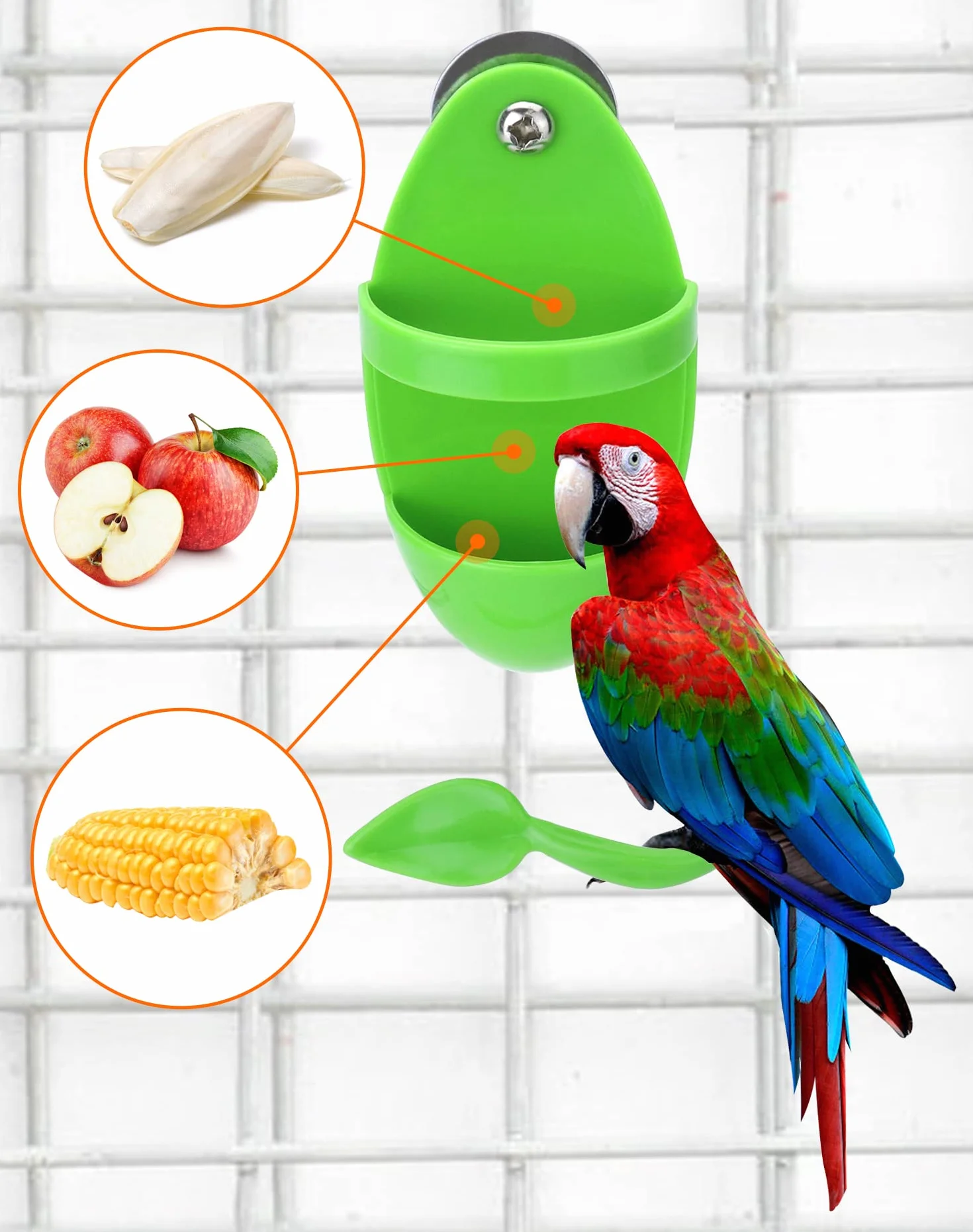 QWORK® 2Pcs Support pour os de seiche Oiseaux avec perchoir, mangeoire à Oiseaux pour mil/Fruits/légumes