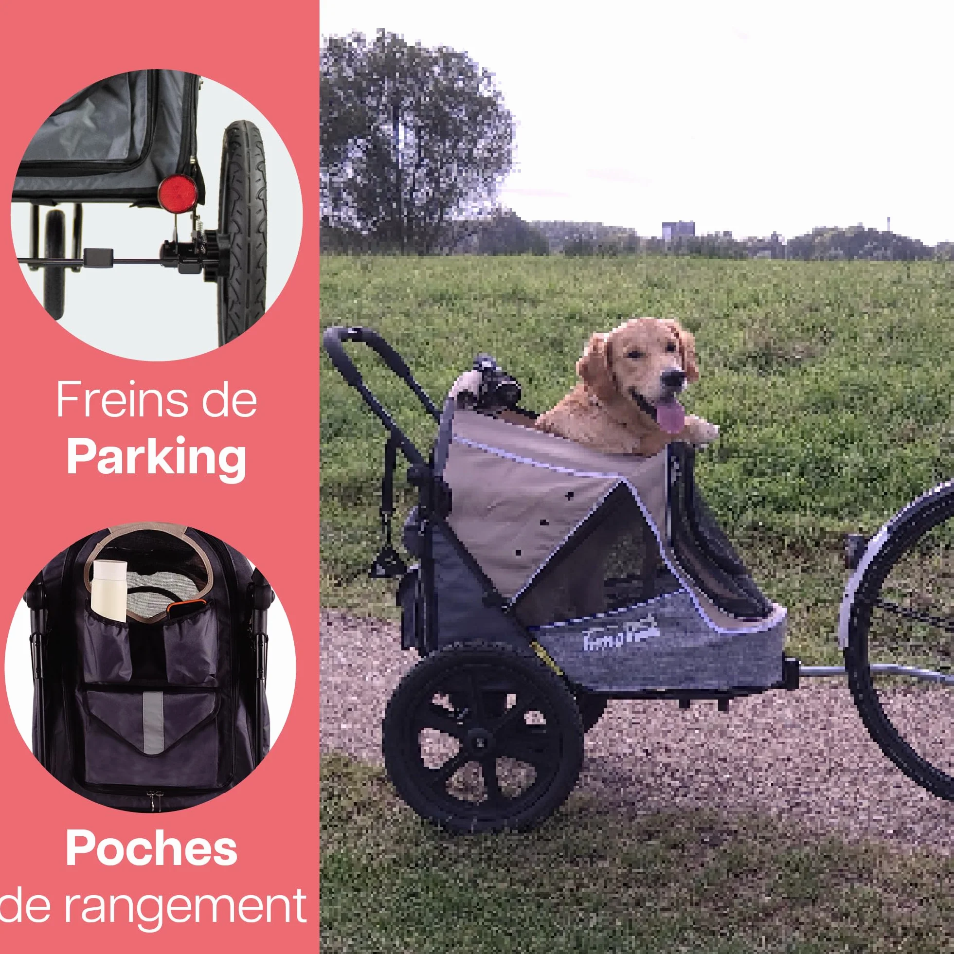 Innopet Sporty Evolution Latte Poussette et Remorque pour Chien 2 en 1 Beige/Gris 30 kg avec Housse de Pluie
