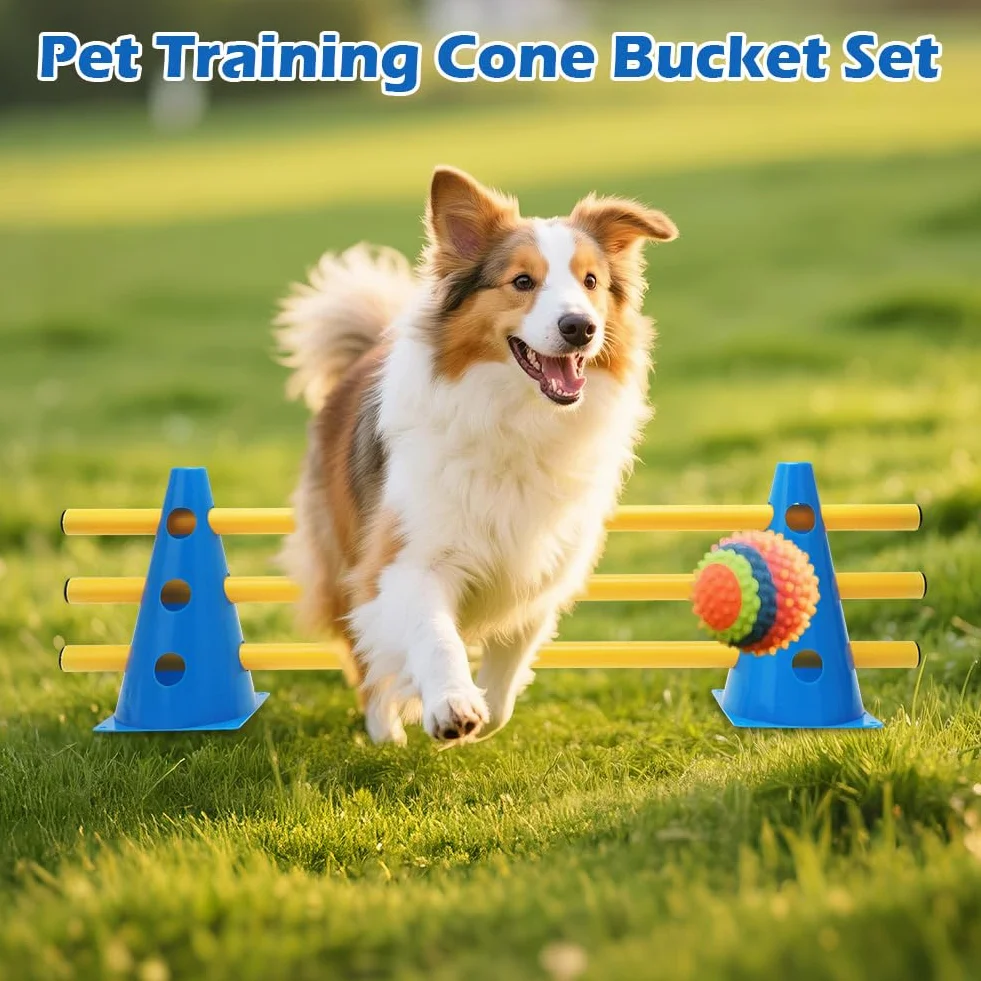 Kit de sport pour chien Cavaletti Agility - 10 cônes + 5 barres, résistant aux intempéries