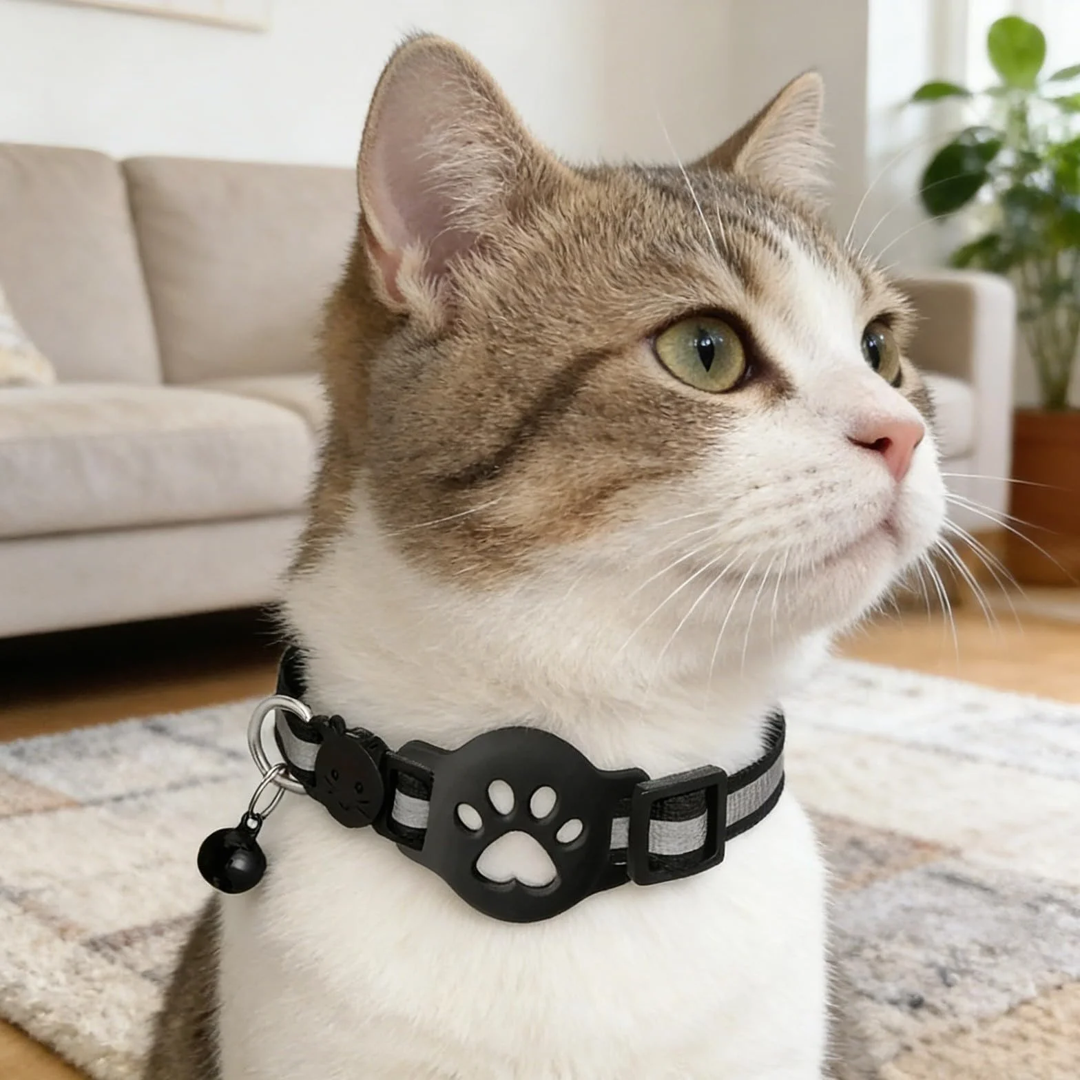 Collier GPS Chat 2026 Traceur GPS Chat Tracker sans Carte SIM sans Abonnement Localisation Temps Réel Imperméable Durable