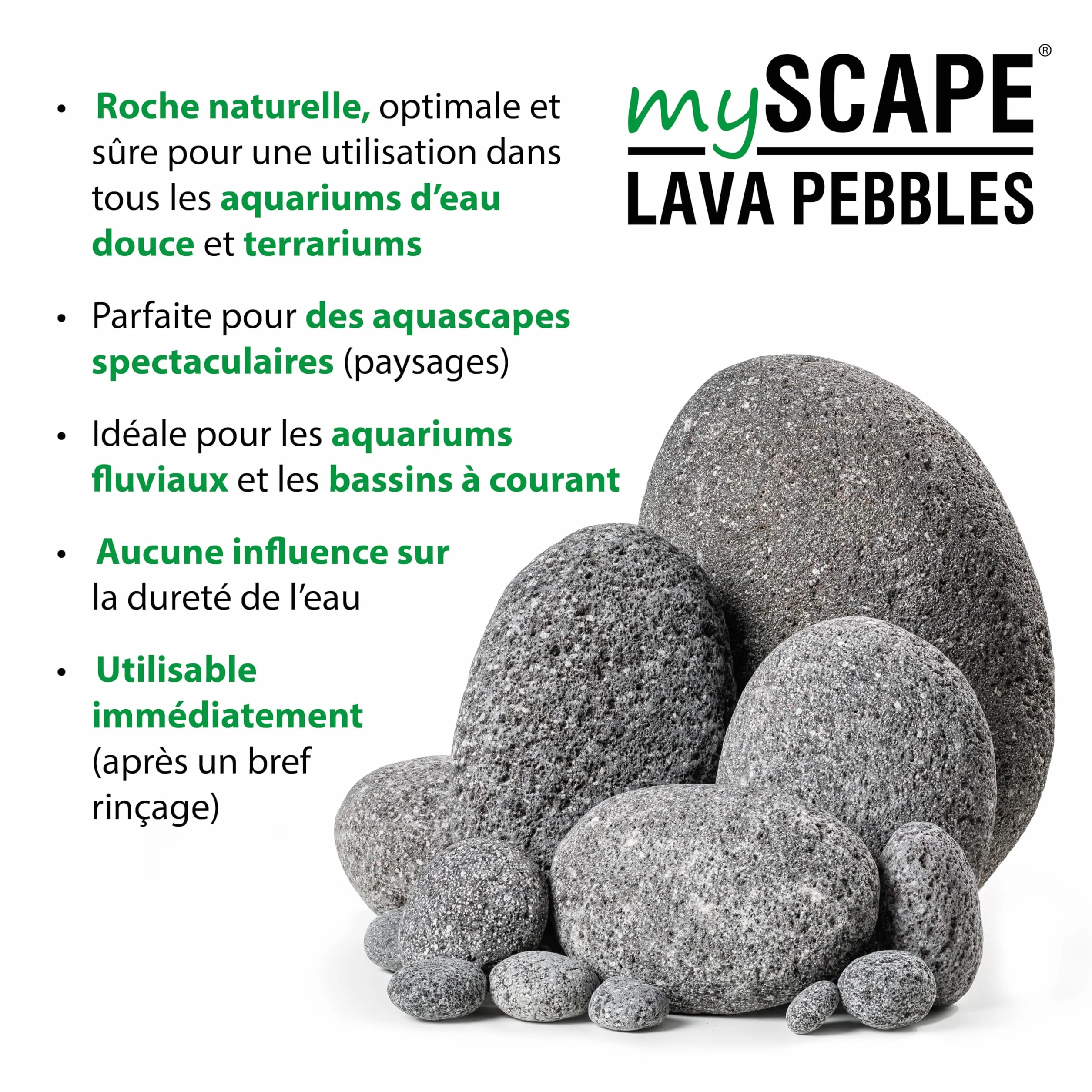 ARKA mySCAPE Lava Pebbles pour aquascaping dans Aquariums d'eau Douce