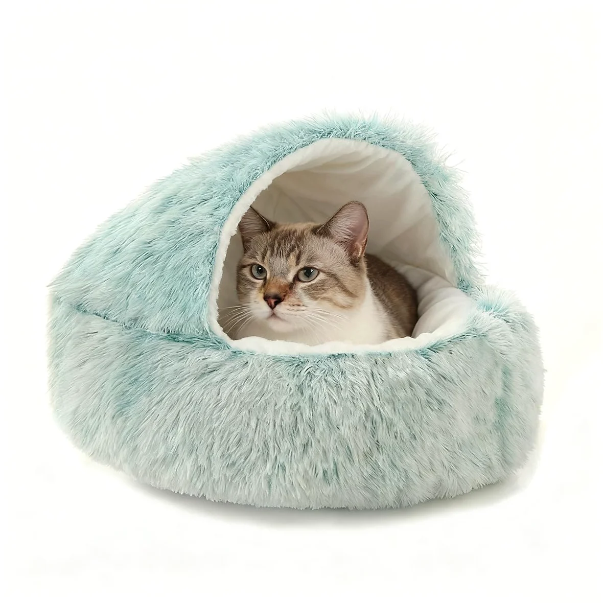 Grotte apaisante pour chat, chien et chaton en peluche moelleuse - Sac de couchage chaud en forme de tente, igloo d'intérieur chaud (vert, 80 cm)