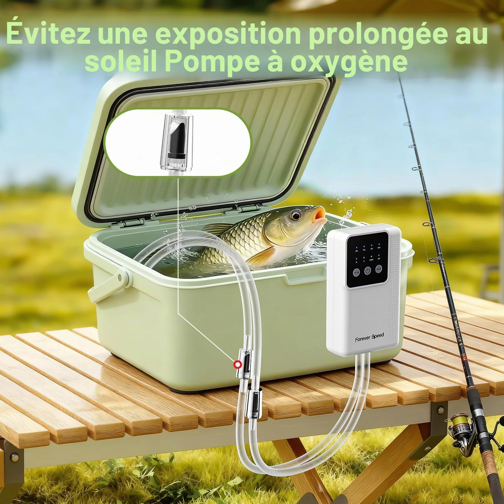 Forever Speed Pompe à Air pour Aquarium LED Rechargeable Réglable avec Batterie 2 Sorties
