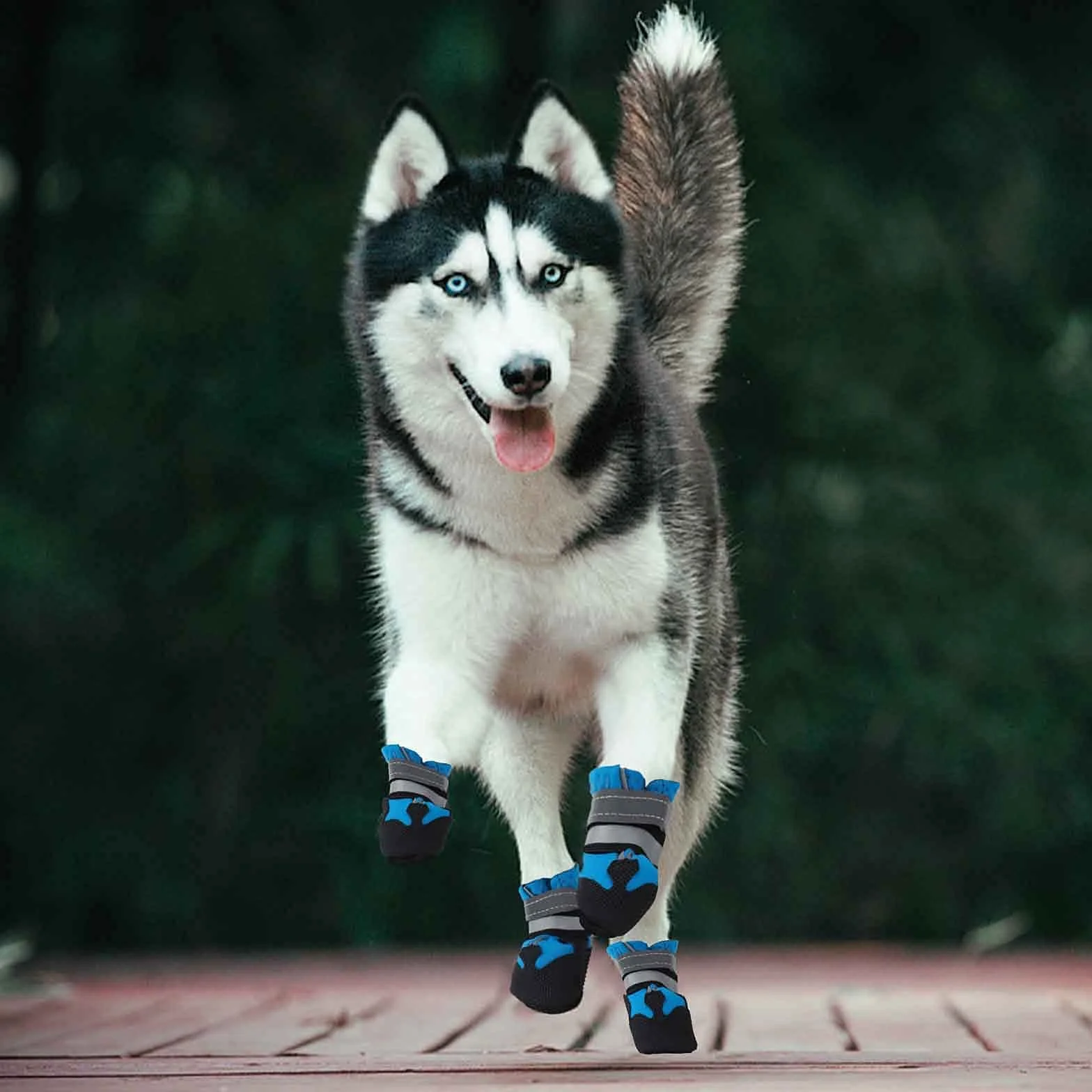 Bottes Chien Imperméables Lot de 4 avec Sangles Réfléchissantes Semelle Antidérapante pour Petits et Moyens Chiens (XL)