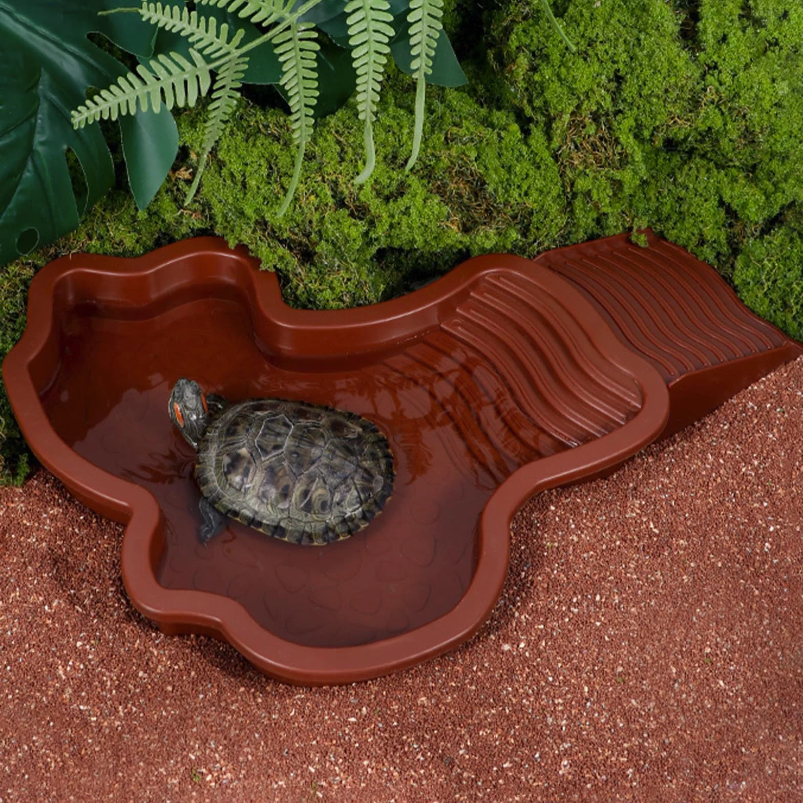 Piscine Tortue Terrestre Mangeoire Plat d'eau Bassin pour Tortue avec Rampe Bol d'eau pour Reptiles avec Échelle Abreuvoir pour Tortues Bassin pour Animaux pour Aquarium Rouge