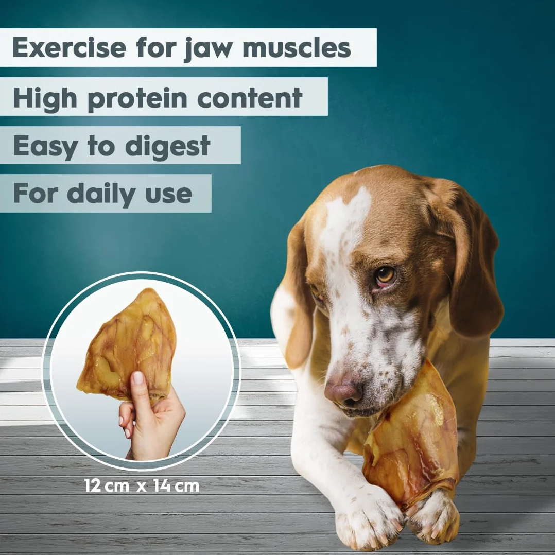 AmeizPet Oreille De Porc pour Chien, 100% Naturel, 20 Pièces