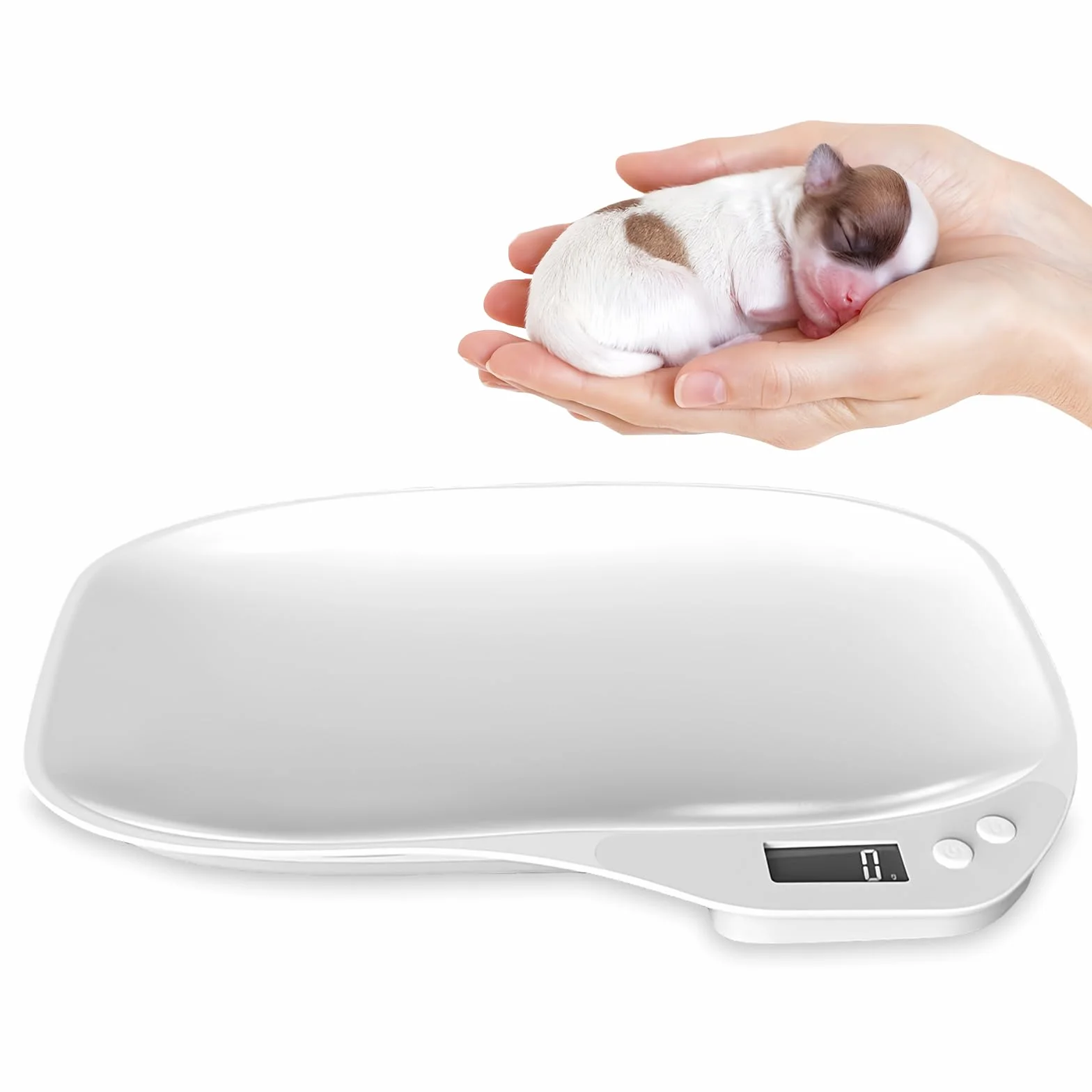Balance numérique pour petits animaux WIYETY, balance de compagnie avec écran LCD et 4 modes de pesée kg/oz/lb/ml