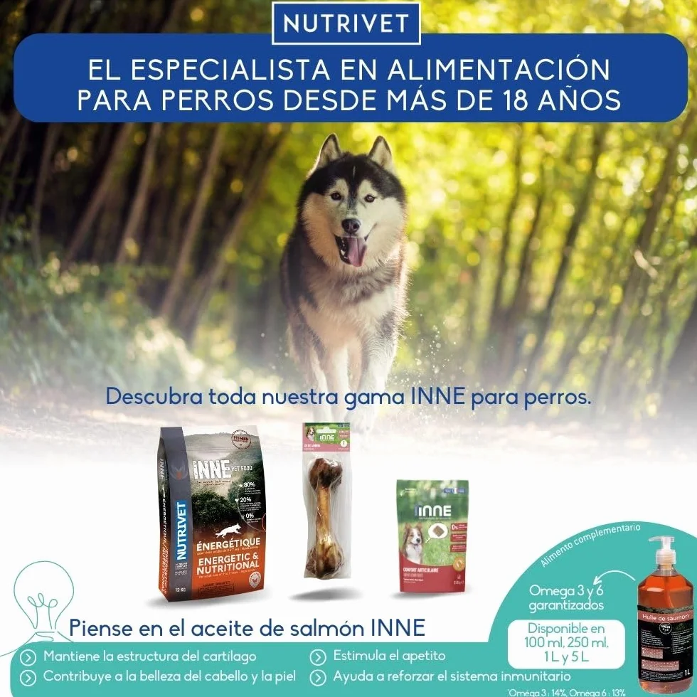 Nutrivet Friandise Naturelle Oreilles de Porc 10 pièces Fabriquée en France