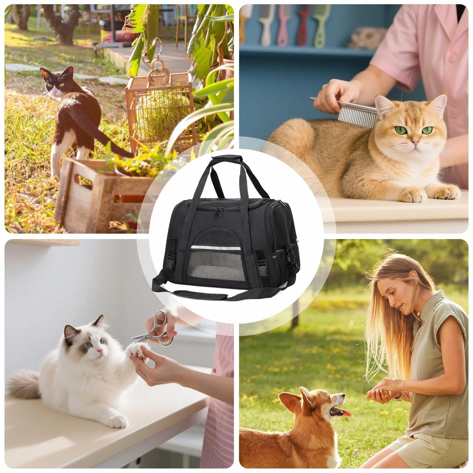 Cage de transport légère pour chat - Pour la randonnée et le camping - Sac ergonomique souple avec poignées pour chats, chatons et petits chiens
