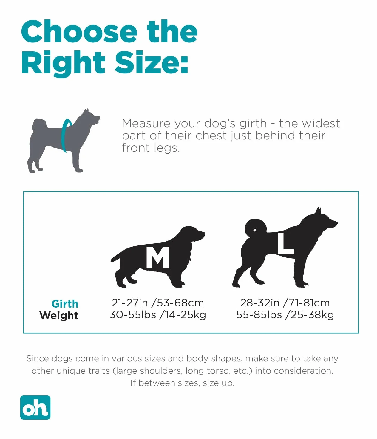 Outward Hound Daypak Sac à Dos pour Chien Grand Bleu