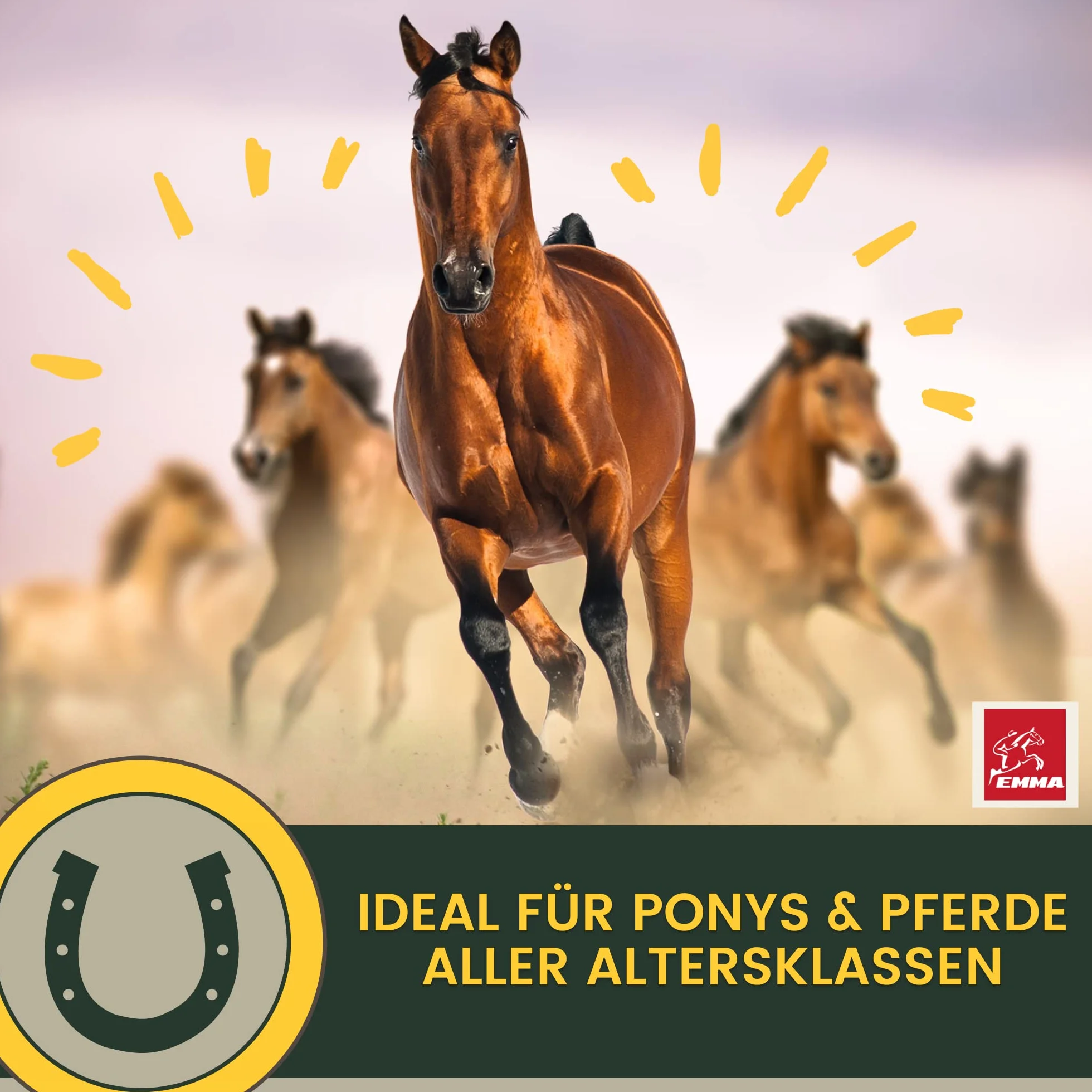Cheval 1L Liquid Glucosamine & Chondroïtine Haute Dose avec MSM Complexe articulaire