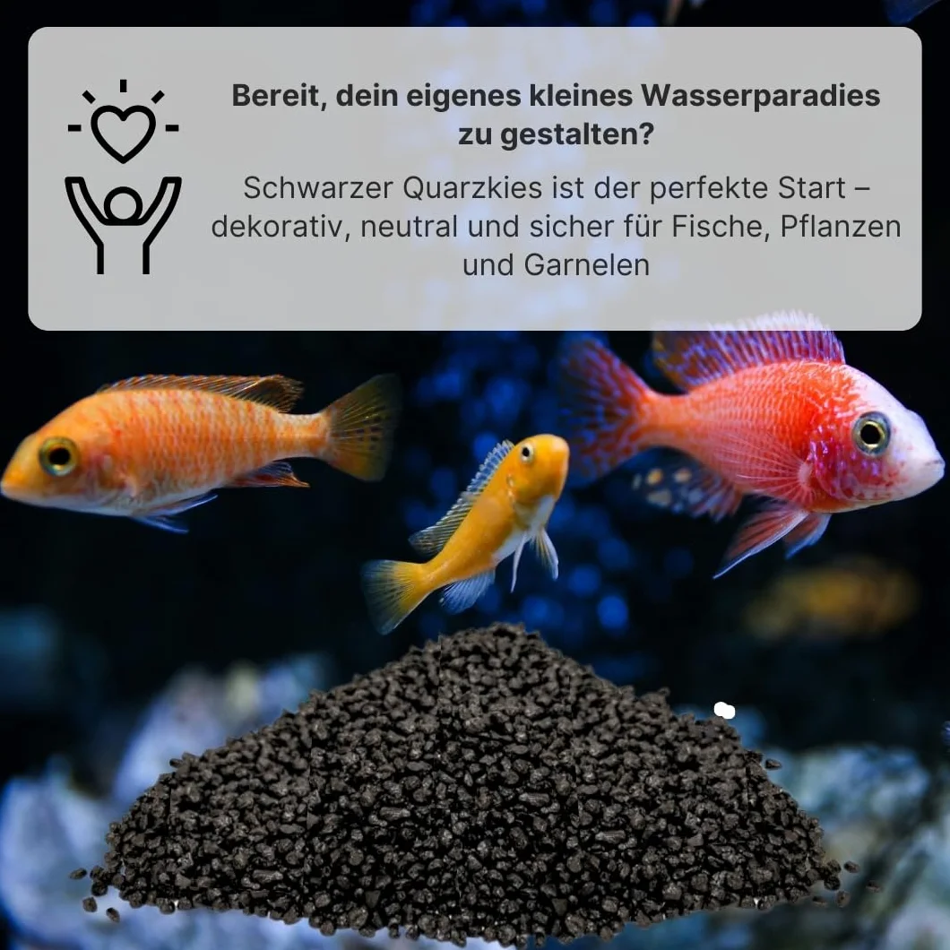 Quartz Gravier 25 kg 2–3 mm fond d'aquarium Sable