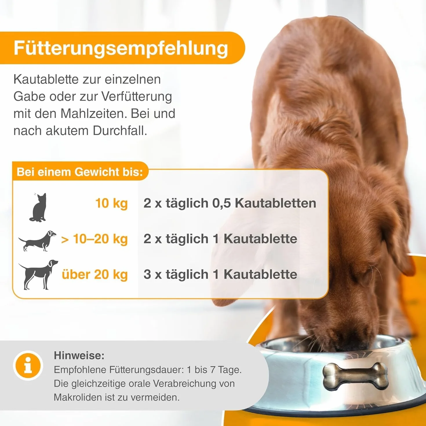 alfavet Dia Tab complément alimentaire diététique pour chiens et chats comprimés à mâcher diarrhée vomissements 6 x 5,5 g