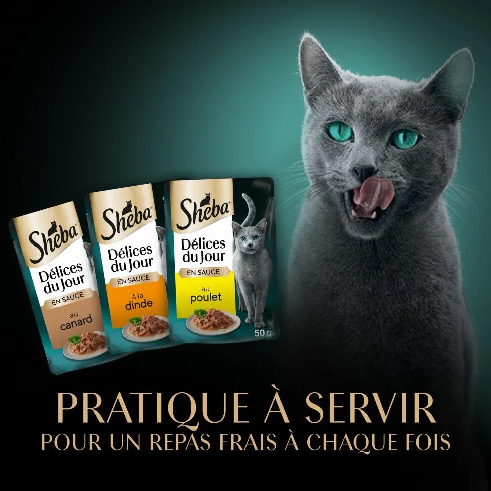 Sheba Délices du Jour Sachets Fraîcheur 6 x 50 g Sélection à La Volaille en Sauce Pack de 12