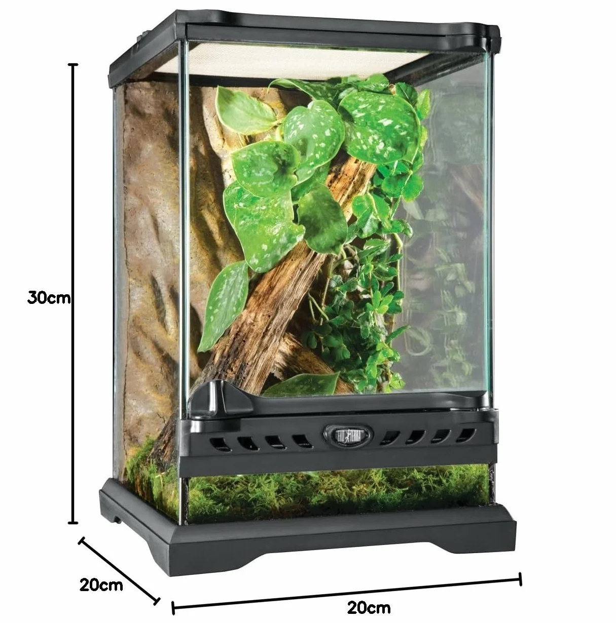 Exoterra Terrarium en Verre pour Reptiles et Amphibiens 20 x 20 x 30 cm