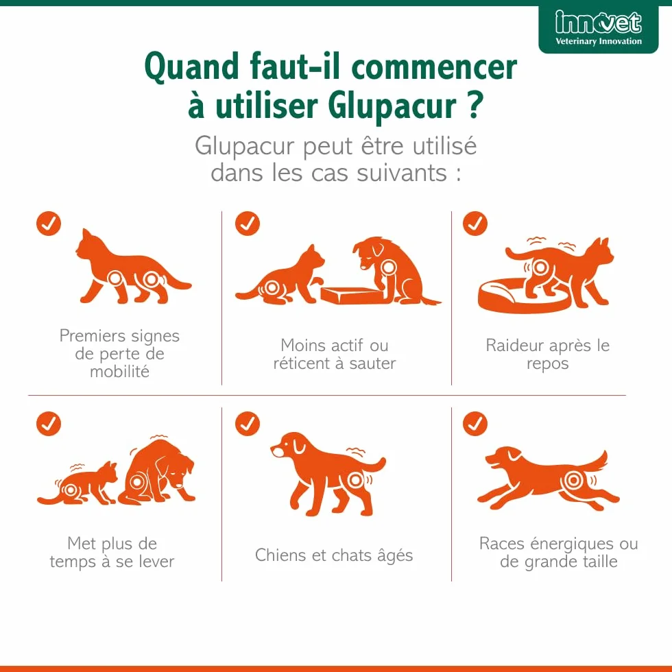 Innovet Glupacur Complément Alimentaire Articulations Chiens Chats Arthrose Mobilité Palmitoylglucosamine Curcumine Vitamine E 30 gélules