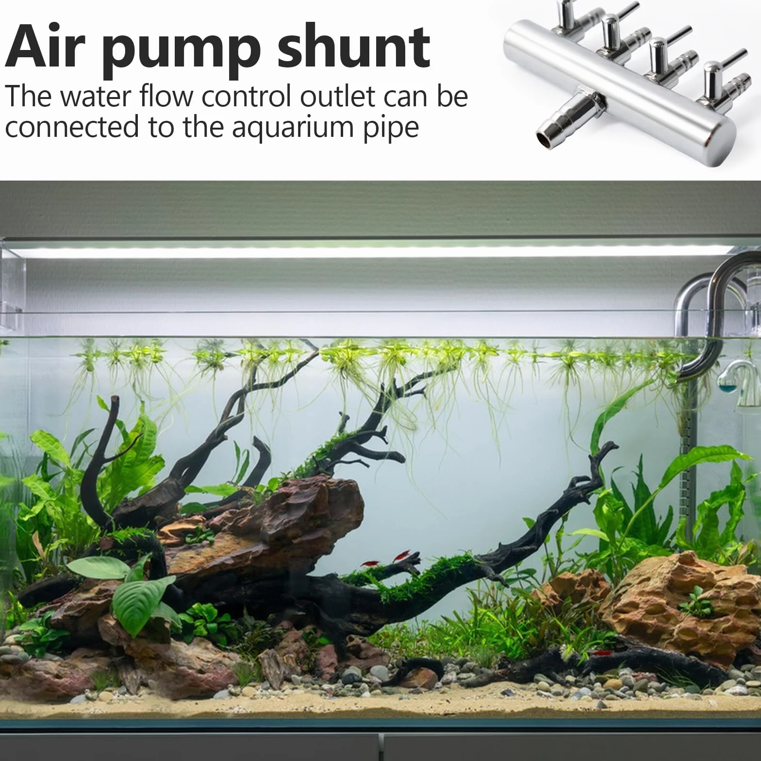 Distributeur d'air aquarium acier inoxydable entrée 8 mm sortie 4 mm régulateur flux clapet anti-retour réglable