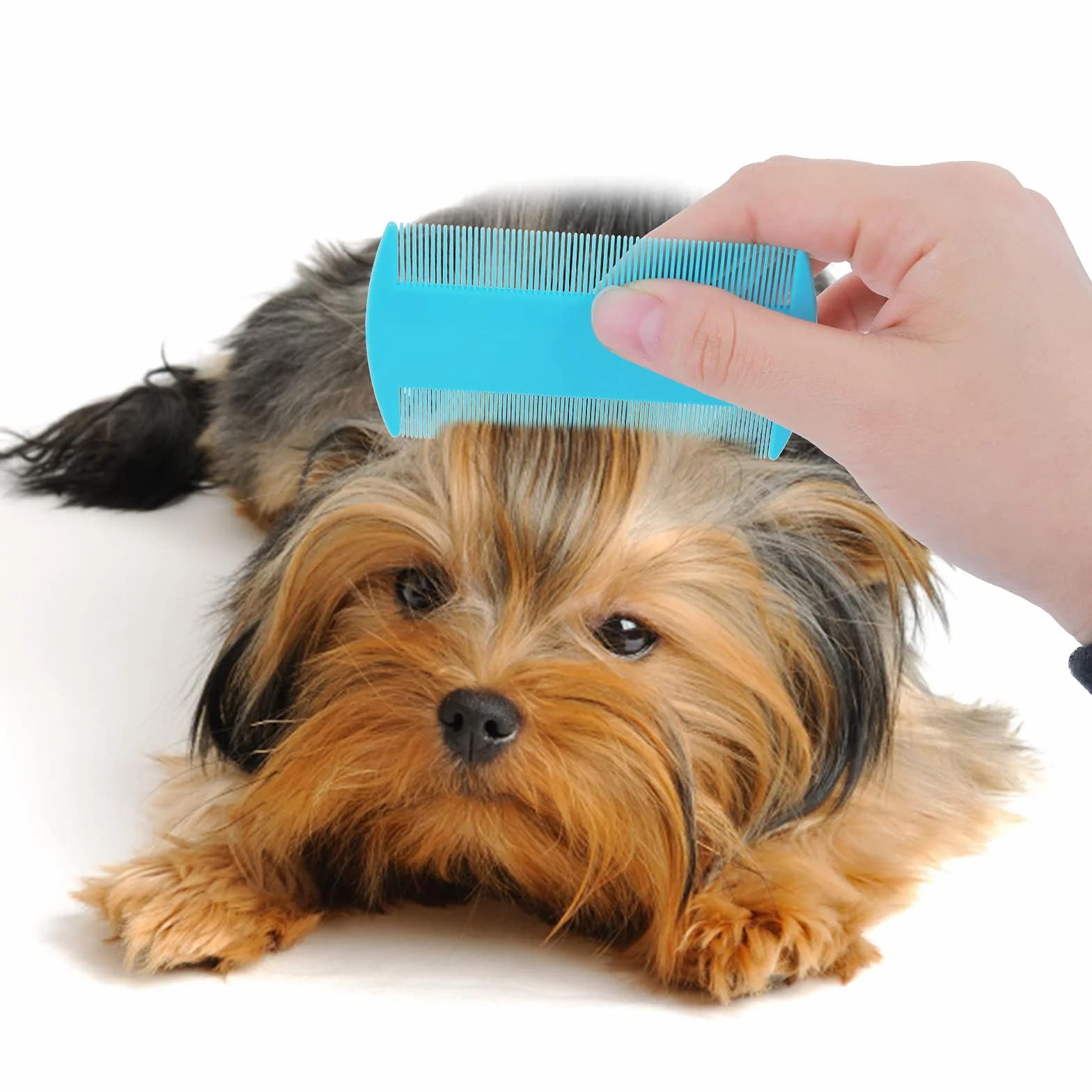 Molain Lot de 12 peignes anti-puces double face pour chien et chat