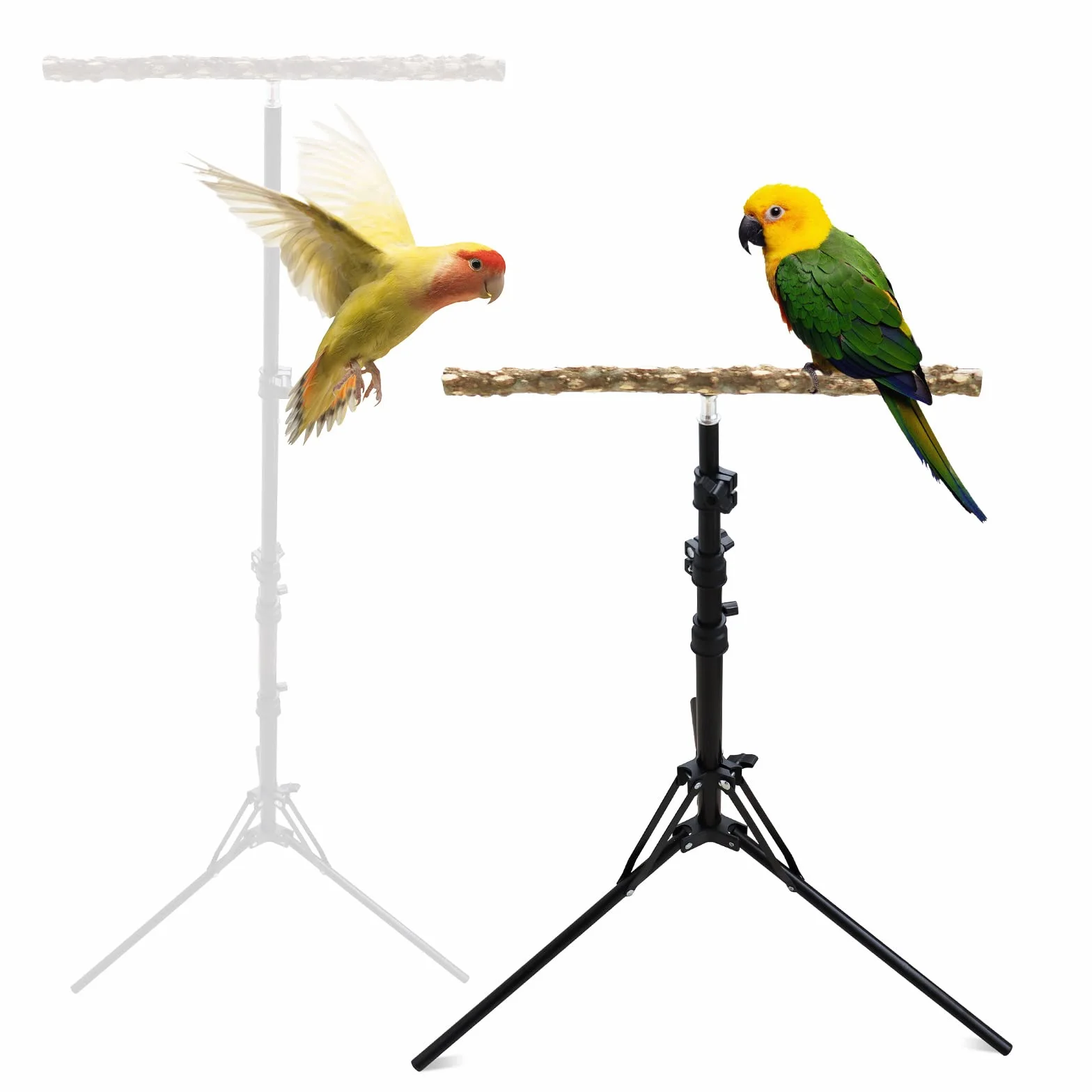Perchoir en bois de poivre naturel hauteur réglable pour oiseaux petite et moyenne taille intérieur extérieur
