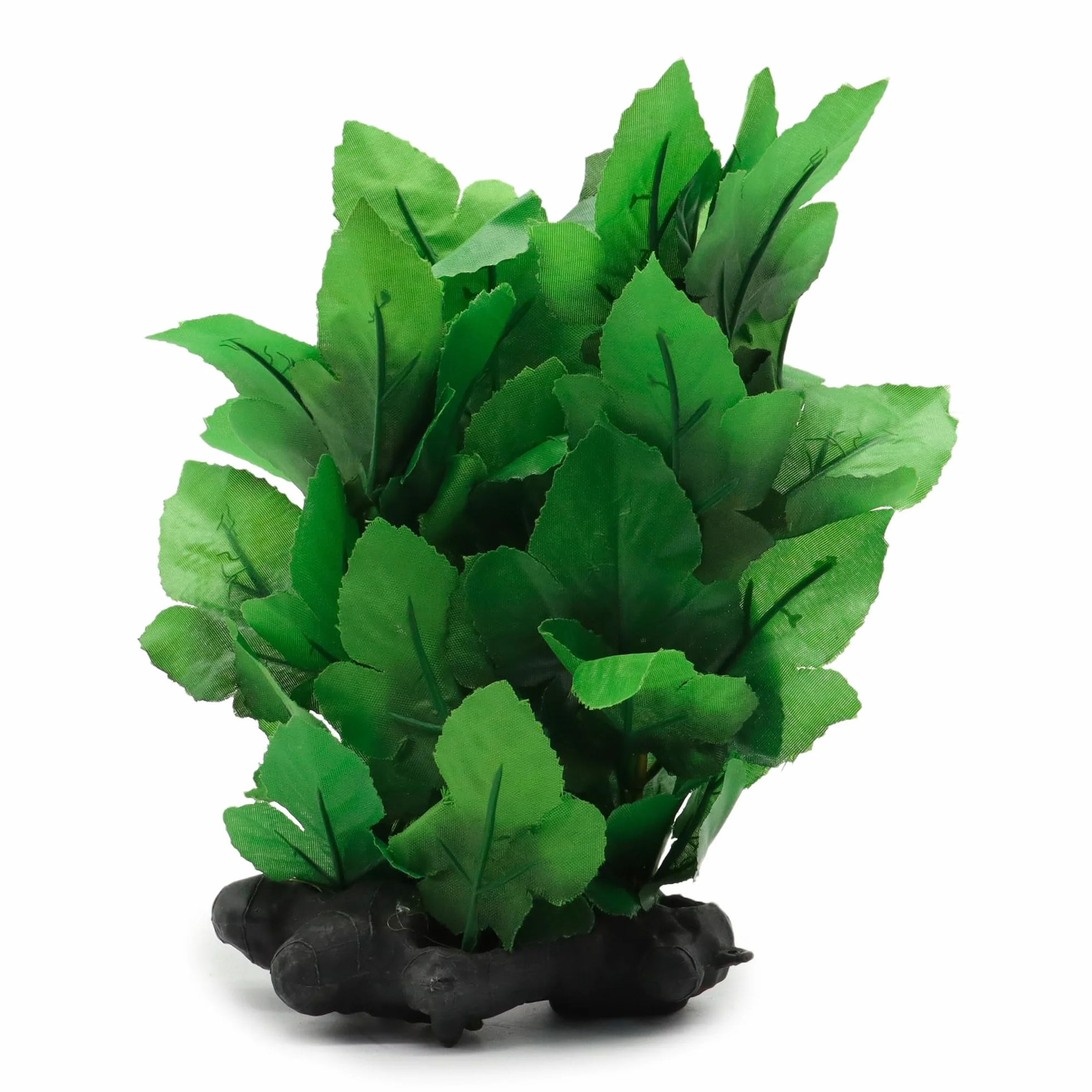 Amtra Wave Hygrophila Plante Réplique 30 cm